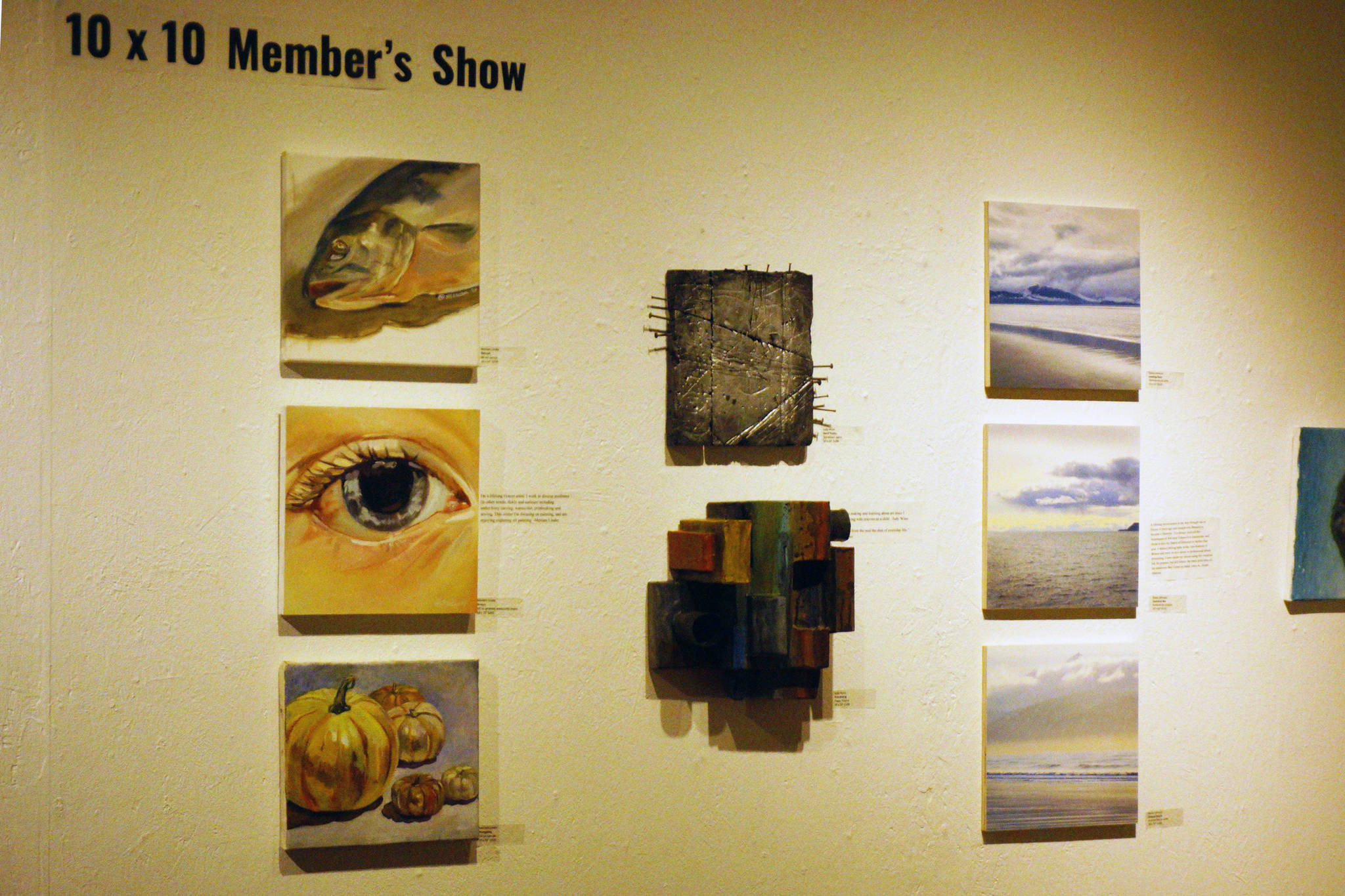 Some of the works in Bunnell Street Arts Center’s 10x10 show in Homer, Alaska. (Photo by Michael Armstrong/Homer News)