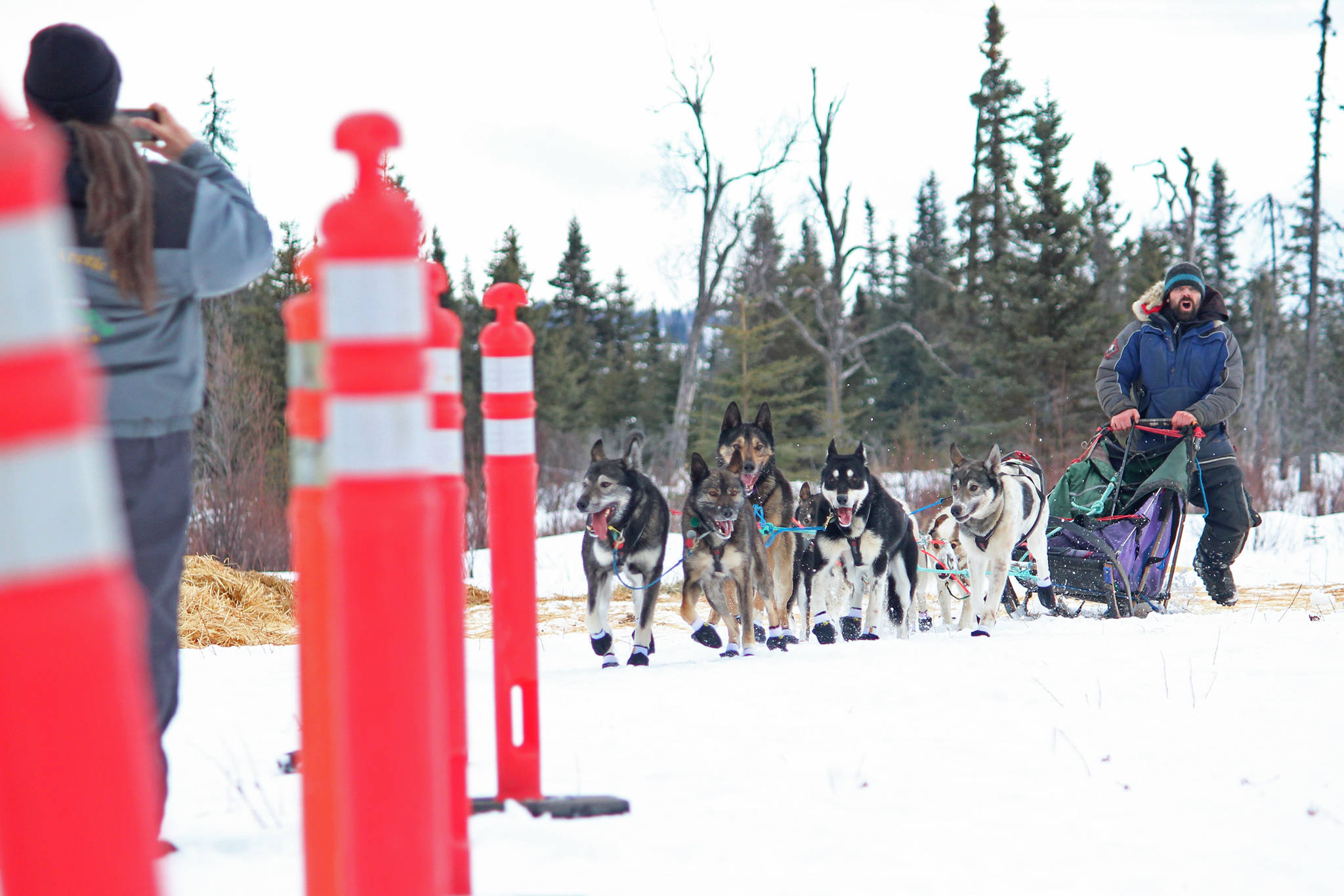Musher Cim Smyth directs his dogs into the lane marking the finsih line of this year’s Tustumena 200 Sled Dog Race on Sunday, Jan. 27, 2019 at Freddie’s Roadhouse near Ninilchik, Alaska. Smyth, who has won the T200 several times, came in second this year. (Photo by Megan Pacer/Homer News)