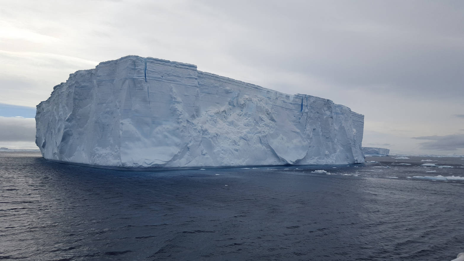 A tabular iceberg from the Larsen ice shelf sits in the Weddell Sea. (Photo courtesy of Sue Mauger)