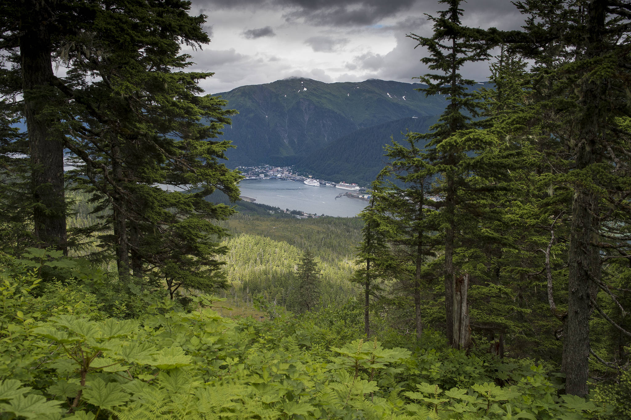 Downtown Juneau as seen from the Mt. Bradley Trail in July 2017. (Michael Penn | Juneau Empire File)