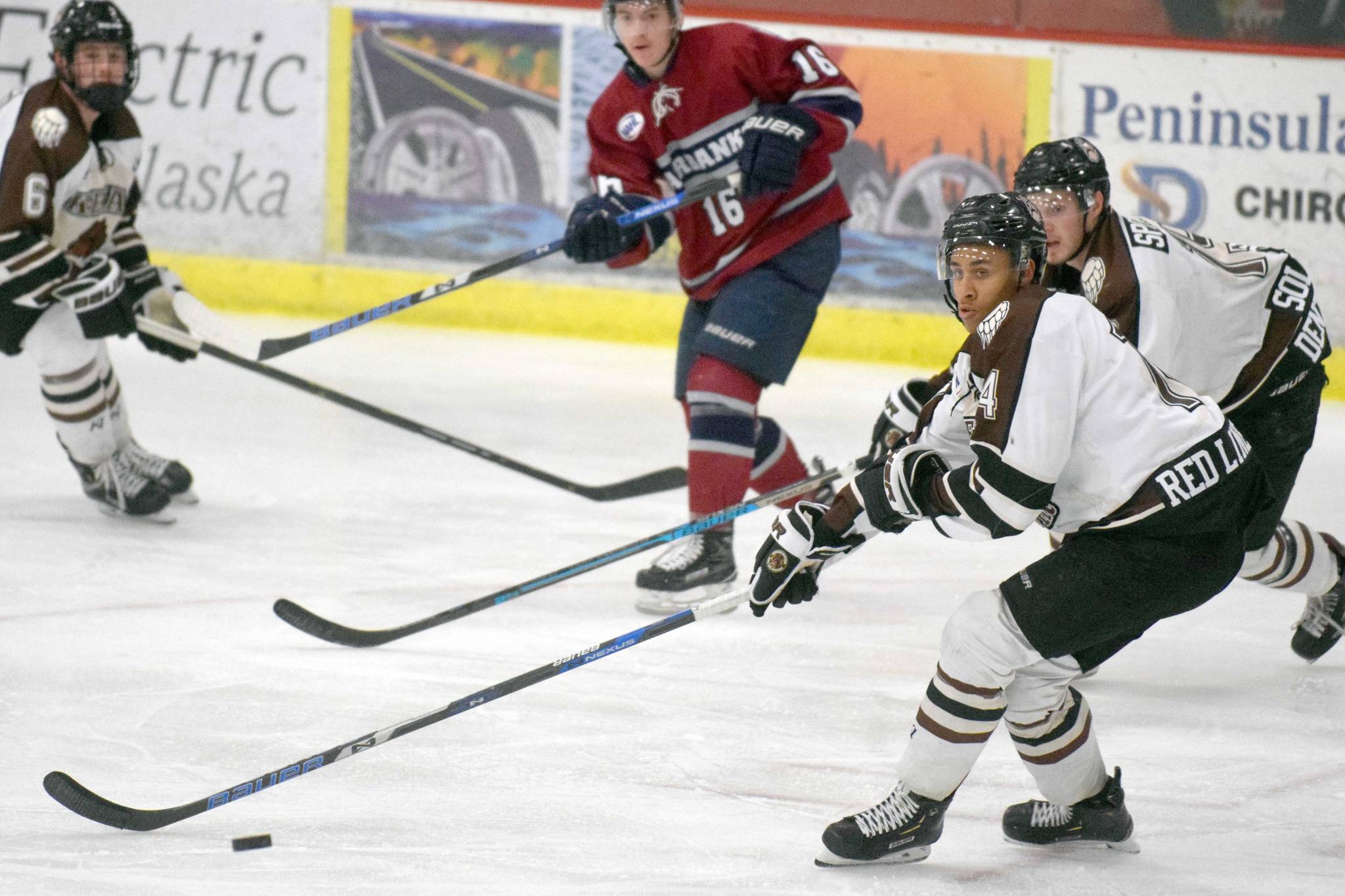 Anchorage defenseman Reid proves he belongs with Brown Bears