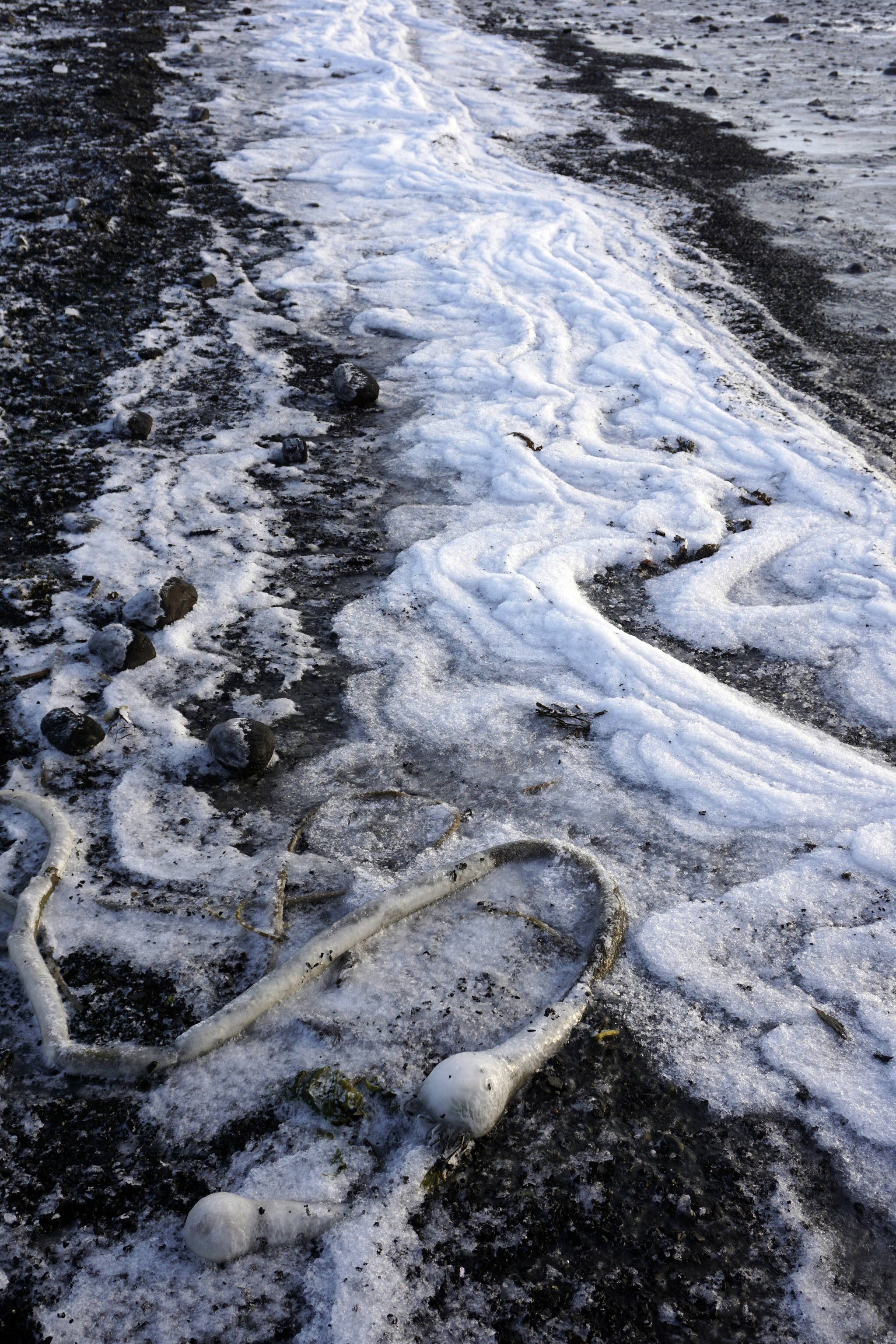 Ice forms at the tide line on the beach near Mariner Park on Tuesday, Jan. 8, 2019, in Homer, Alaska. (Photo by Michael Armstrong/Homer News)                                Ice forms at the tide line on the beach near Mariner Park on Tuesday, Jan. 8, 2019, in Homer, Alaska. (Photo by Michael Armstrong/Homer News)