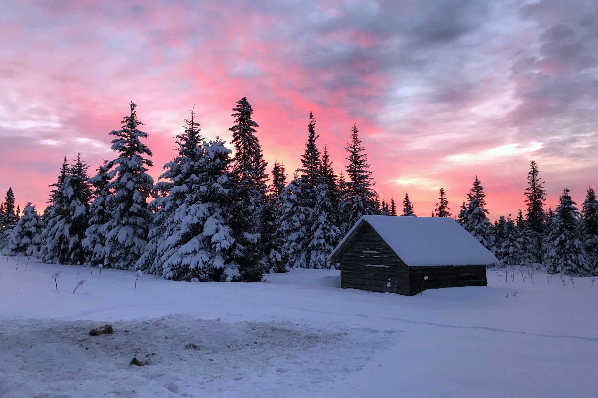 The view of a Homer sunrise as seen from the cabin where the author spent a recent winter weekend. (Photo by Kat Sorensen/Peninsula Clarion)