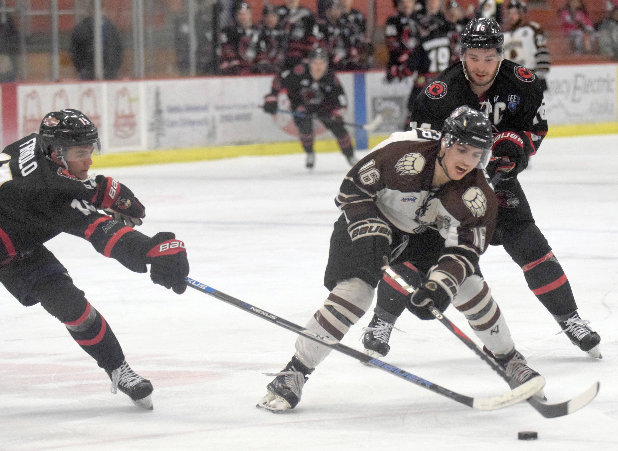 Brown Bears forward Andy Walker carries the puck between Corpus Christi’s Anthony Firriolo and Kyle Moore on Friday, Feb. 8, 2019, at the Soldotna Regional Sports Complex. (Photo by Jeff Helminiak/Peninsula Clarion)