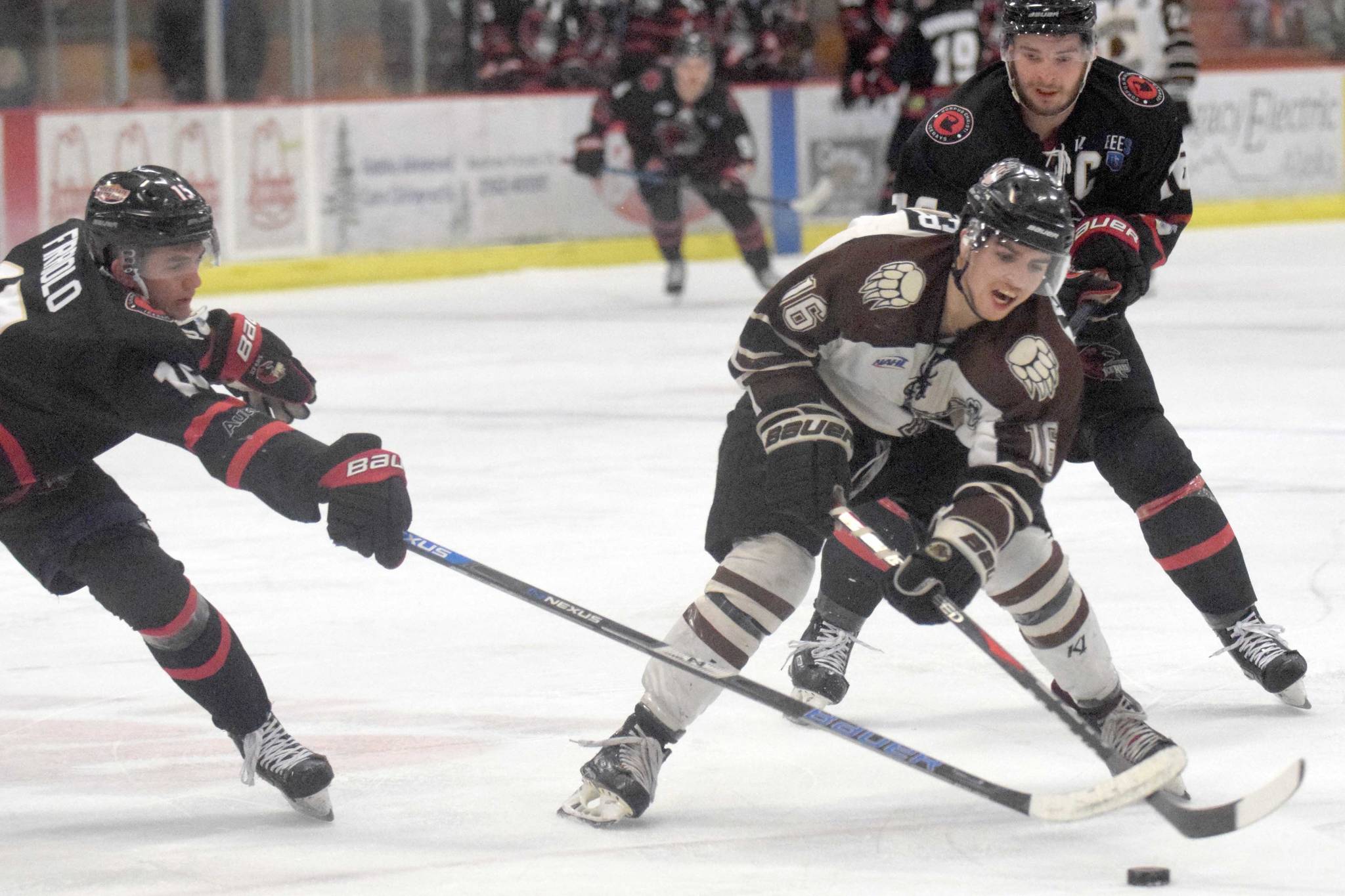 Brown Bears split with IceRays