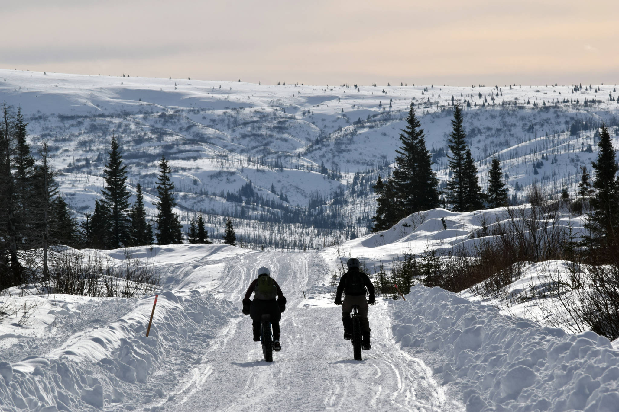 Martha Story and David Story cruise down a hill in the Fat Freddie’s Bike Race and Ramble on Saturday, Feb. 9, 2019, in the Caribou Hills near Freddie’s Roadhouse. (Photo by Jeff Helminiak/Peninsula Clarion)