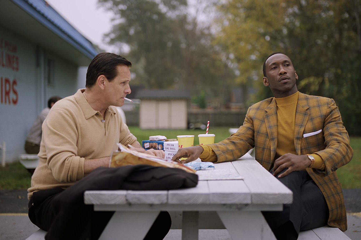 Now Playing: ‘Green Book’ tells a moving story about looking past bias