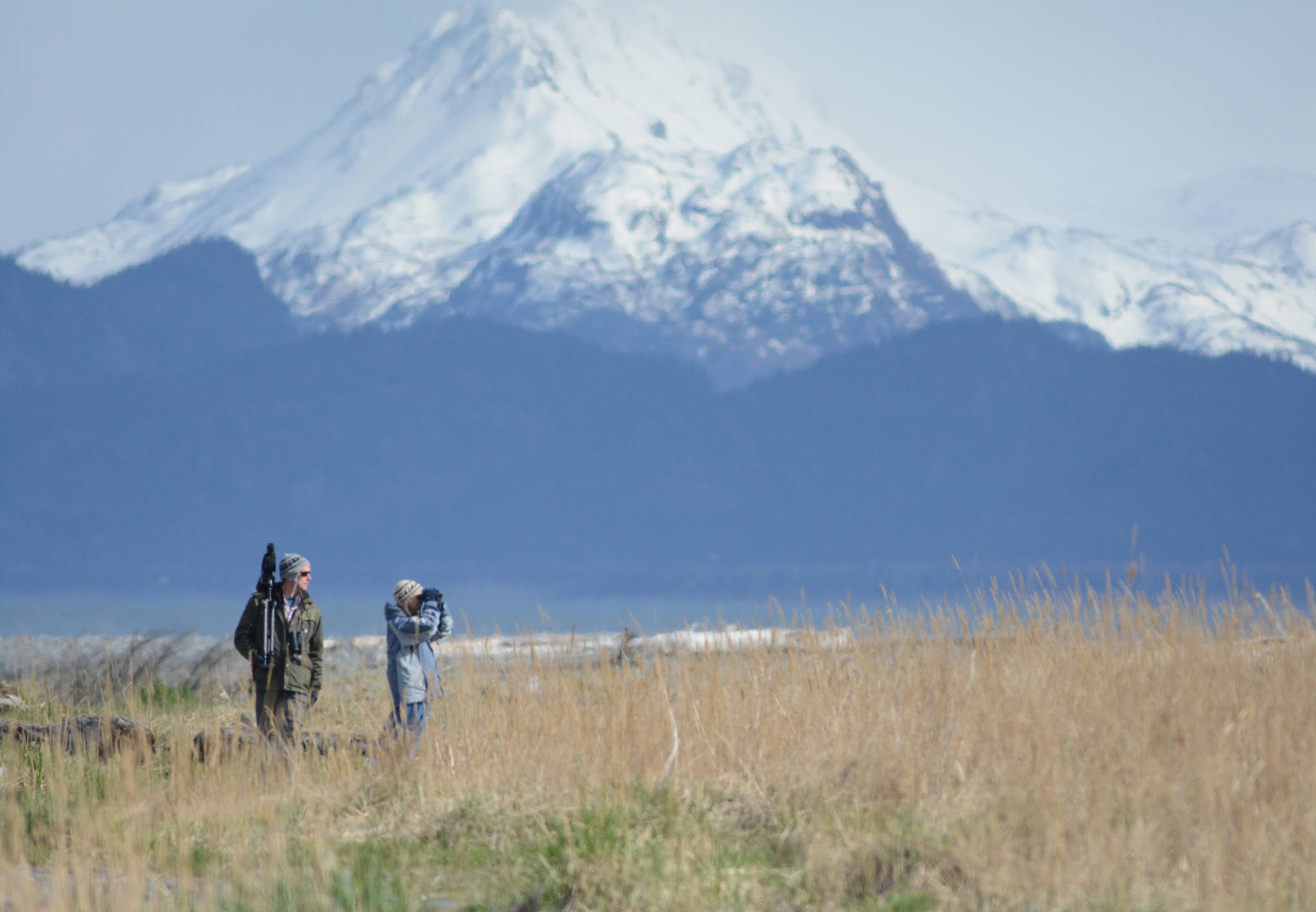 Two birders scan Bishop’s Beach on Saturday afternoon, May 12, 2018, during the Kachemak Bay Shorebird Festival. (Photo by Michael Armstrong / Homer News).