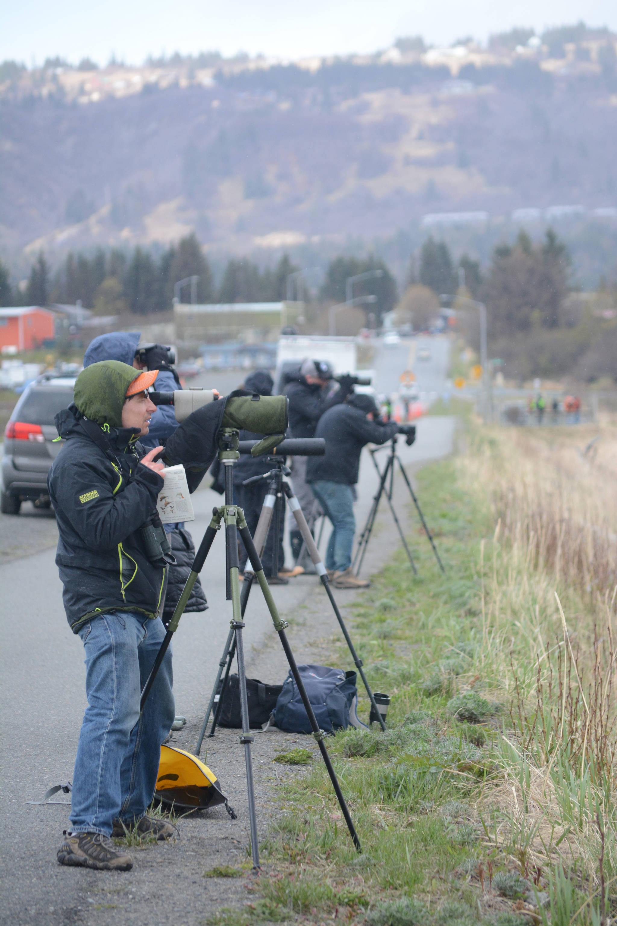 Birders line the bike path on the Homer Spit while looking for shorebirds in Mud Bay on Friday morning, May 11, 2018, for the Kachemak Bay Shorebird Festival. (Photo by Michael Armstrong / Homer News)