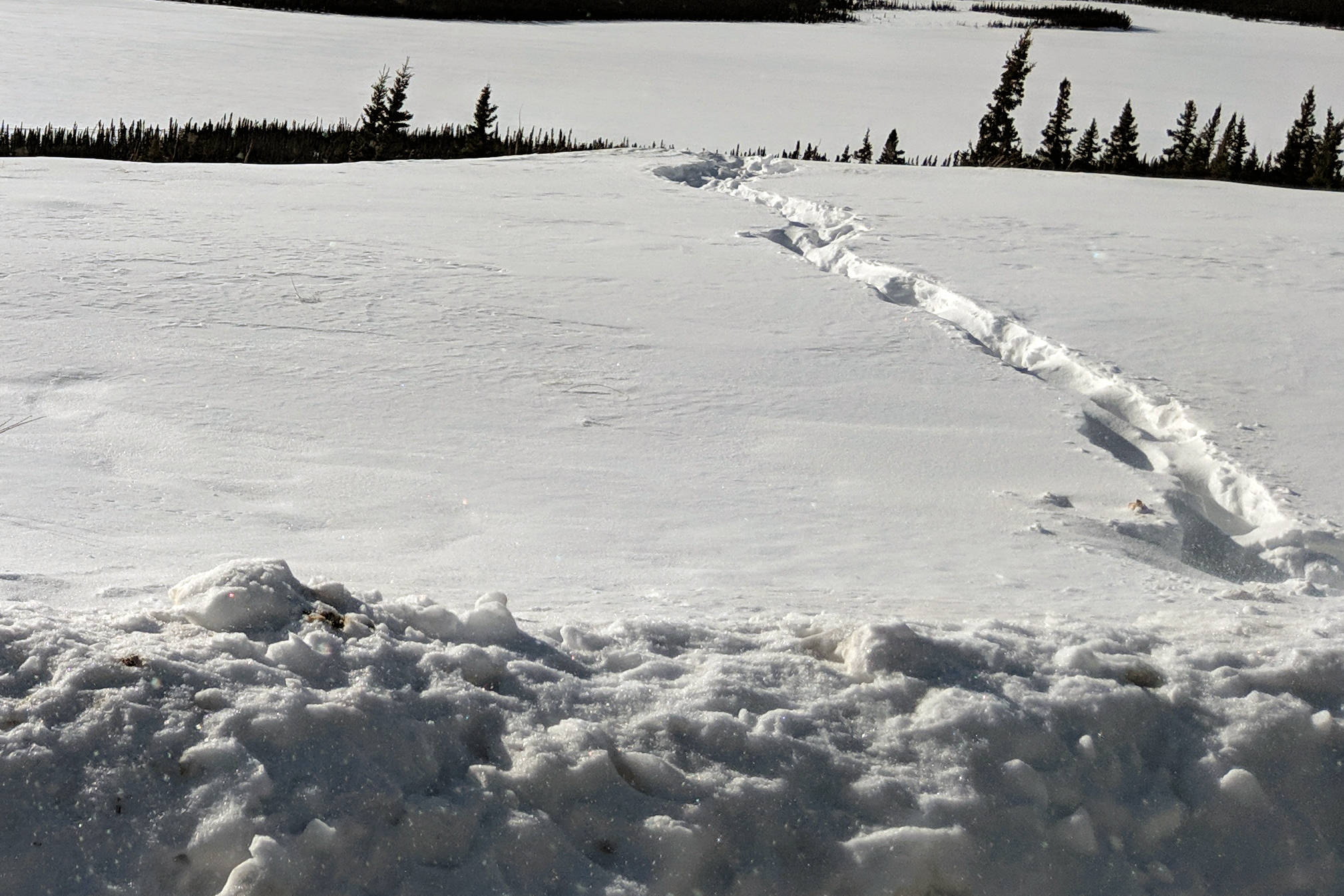 Life in the Pedestrian Lane: Perspective on an Alaskan winter