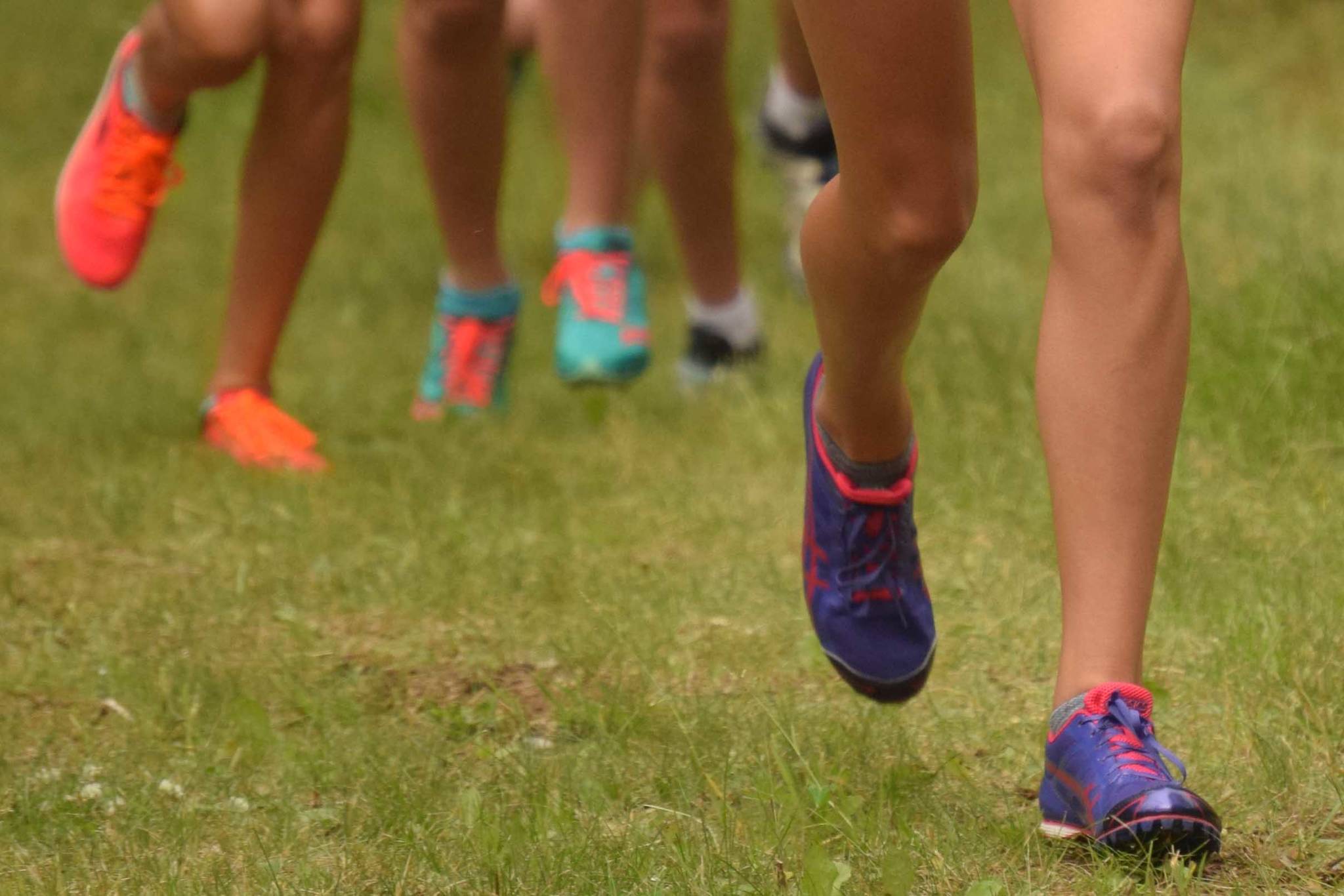 Shamrock Shuffle to benefit Soldotna Whalers