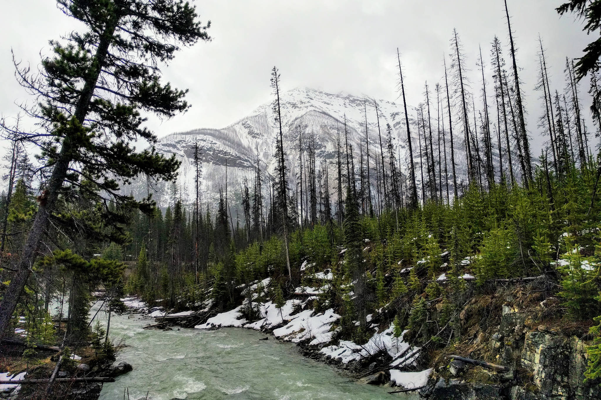 British Columbia, Canada. (Unsplash)