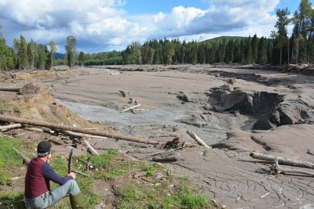 Aftermath of Mount Polley. (Courtesy Photo | Bonny Glambeck)