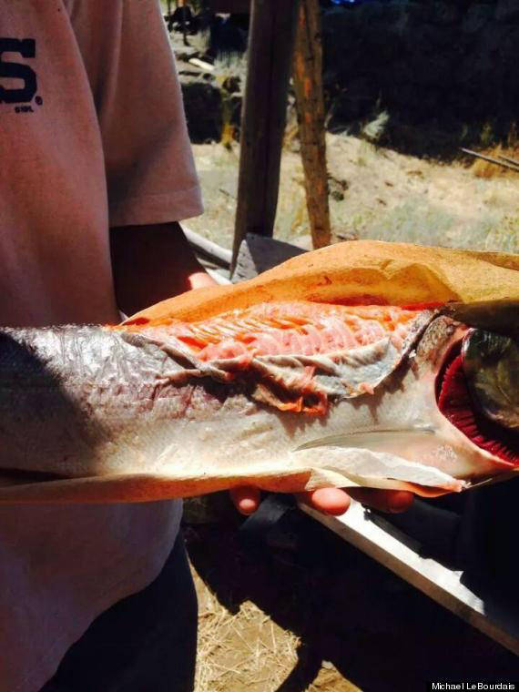 Salmon with its skin peeling. (Courtesy Photo | Michael LeBourdais)