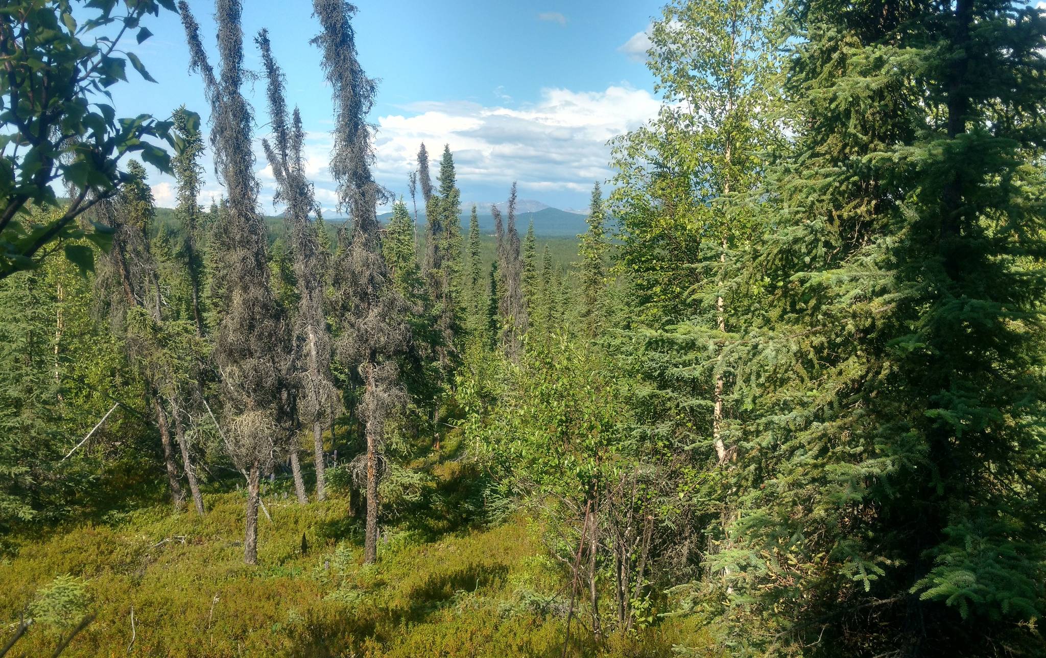 Refuge receives land donation from conservation group