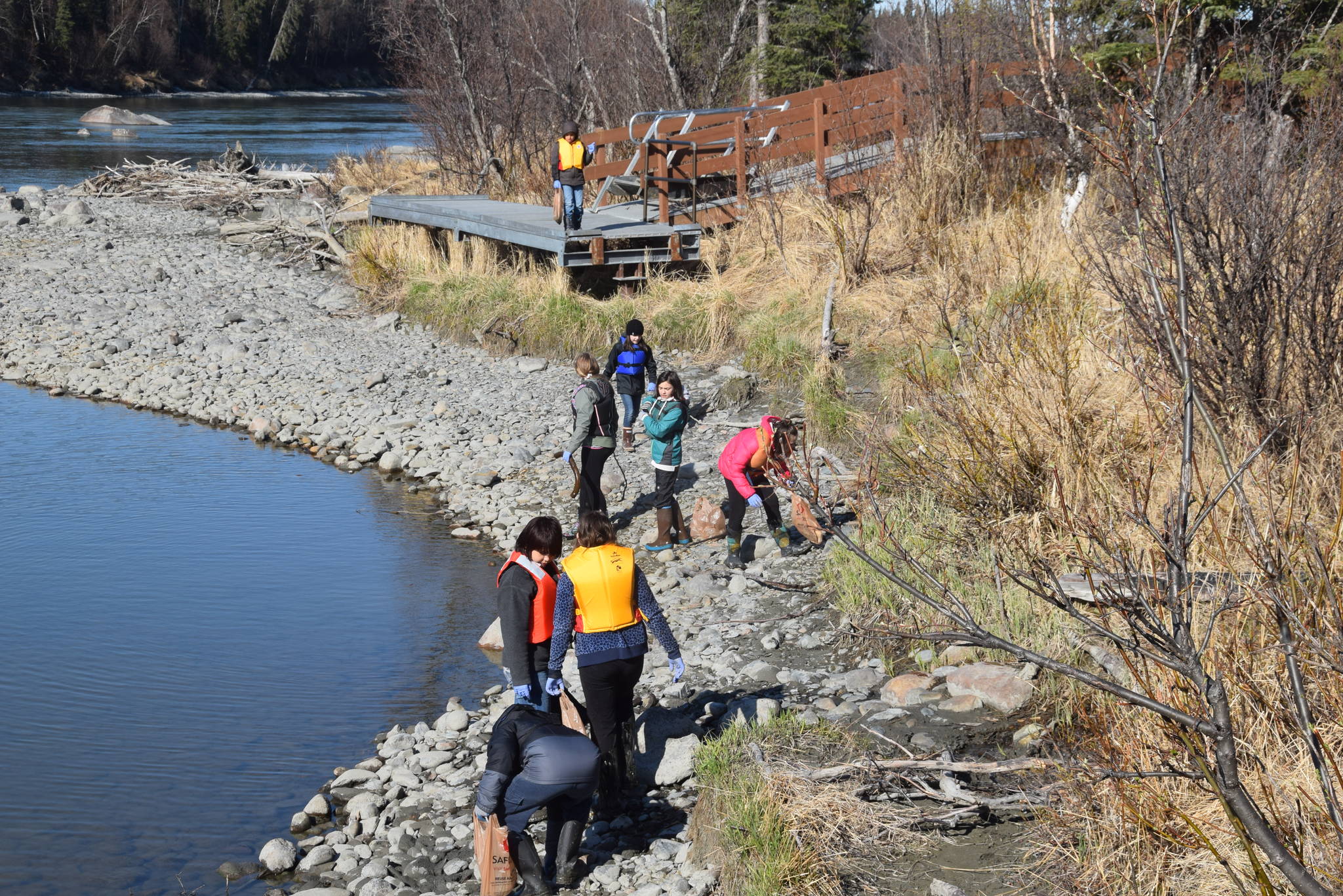 Students from Redoubt Elementary pick up trash along the river during the 6th Annual Kids Kenai River Spring Cleanup at Swiftwater Park in Soldotna, Alaska on May 3, 2019. (Photo by Brian Mazurek/Peninsula Clarion)