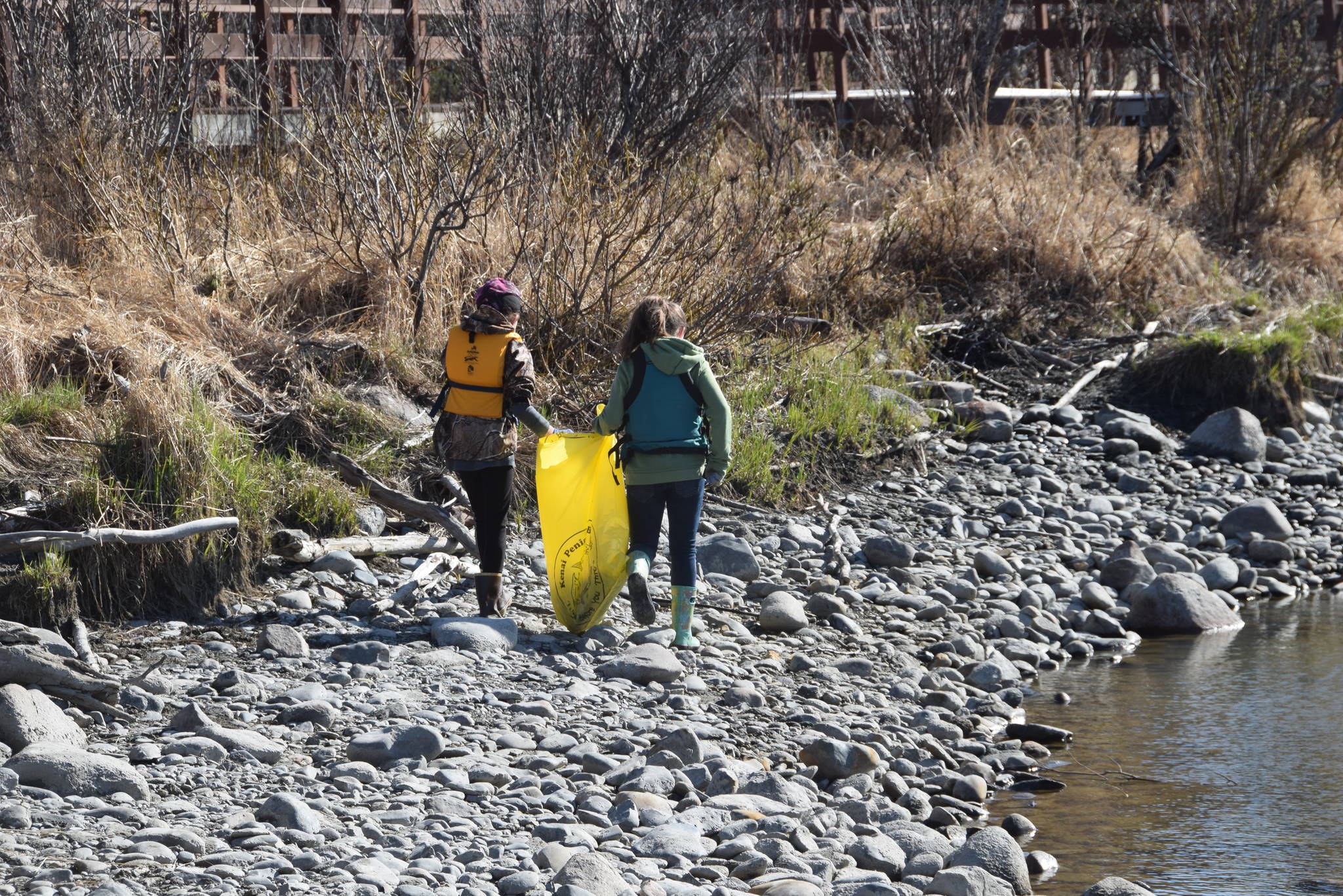 Students from Redoubt Elementary pick up trash along the river during the 6th Annual Kids Kenai River Spring Cleanup at Swiftwater Park in Soldotna, Alaska on May 3, 2019. (Photo by Brian Mazurek/Peninsula Clarion)