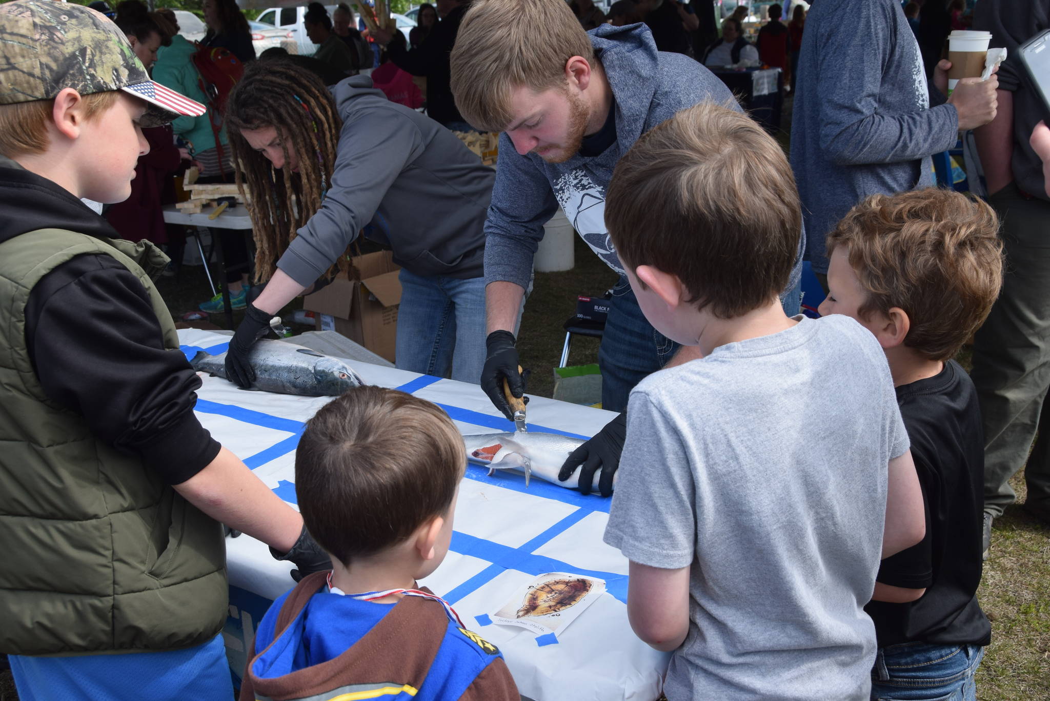 Kids watch as volunteers from Cook Inlet Aquaculture demonstrate how to dissect a salmon during the Kenai River Festival at Soldotna Creek Park in Soldotna, Alaska on June 8, 2019. (Photo by Brian Mazurek/Peninsula Clarion)