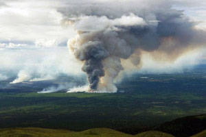 A smoke column on the northeast side of the Swan Lake Fire as seen on June 17, 2019. (Photo by Casey Lasota/Alaska Division of Forestry)