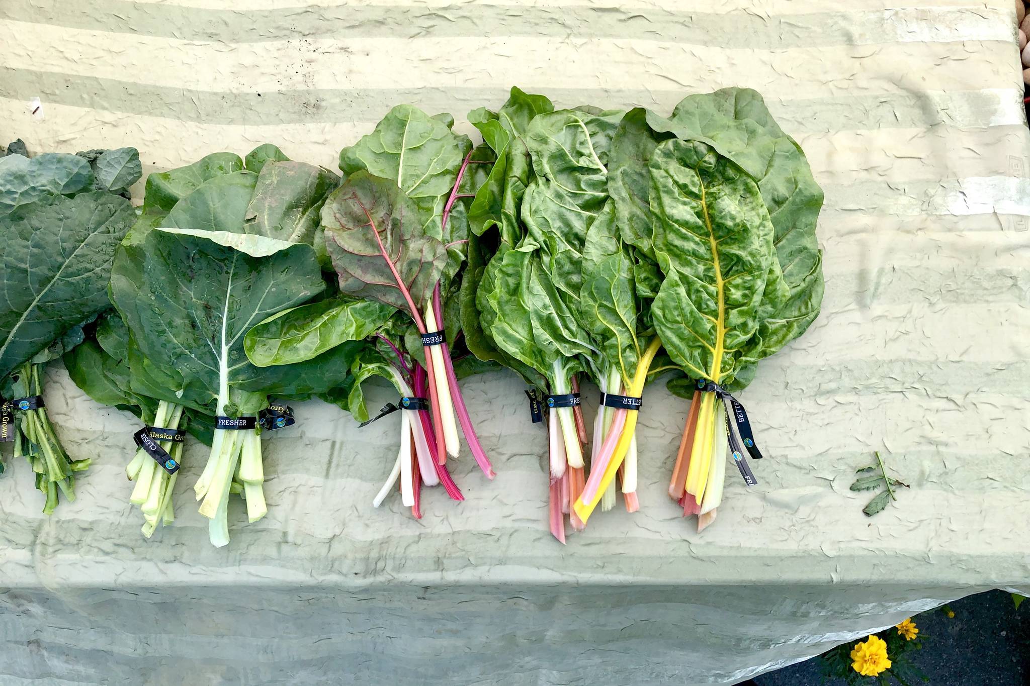 Bunches of fresh greens are displayed at the first Farmers Fresh Market of the season on Tuesday, June 11, 2019 at the Kenai Peninsula Food Bank near Soldotna, Alaska. The market is open every 3 to 6 p.m. every Tuesday until Sept. 11. (Photo by Victoria Petersen/Peninsula Clarion)