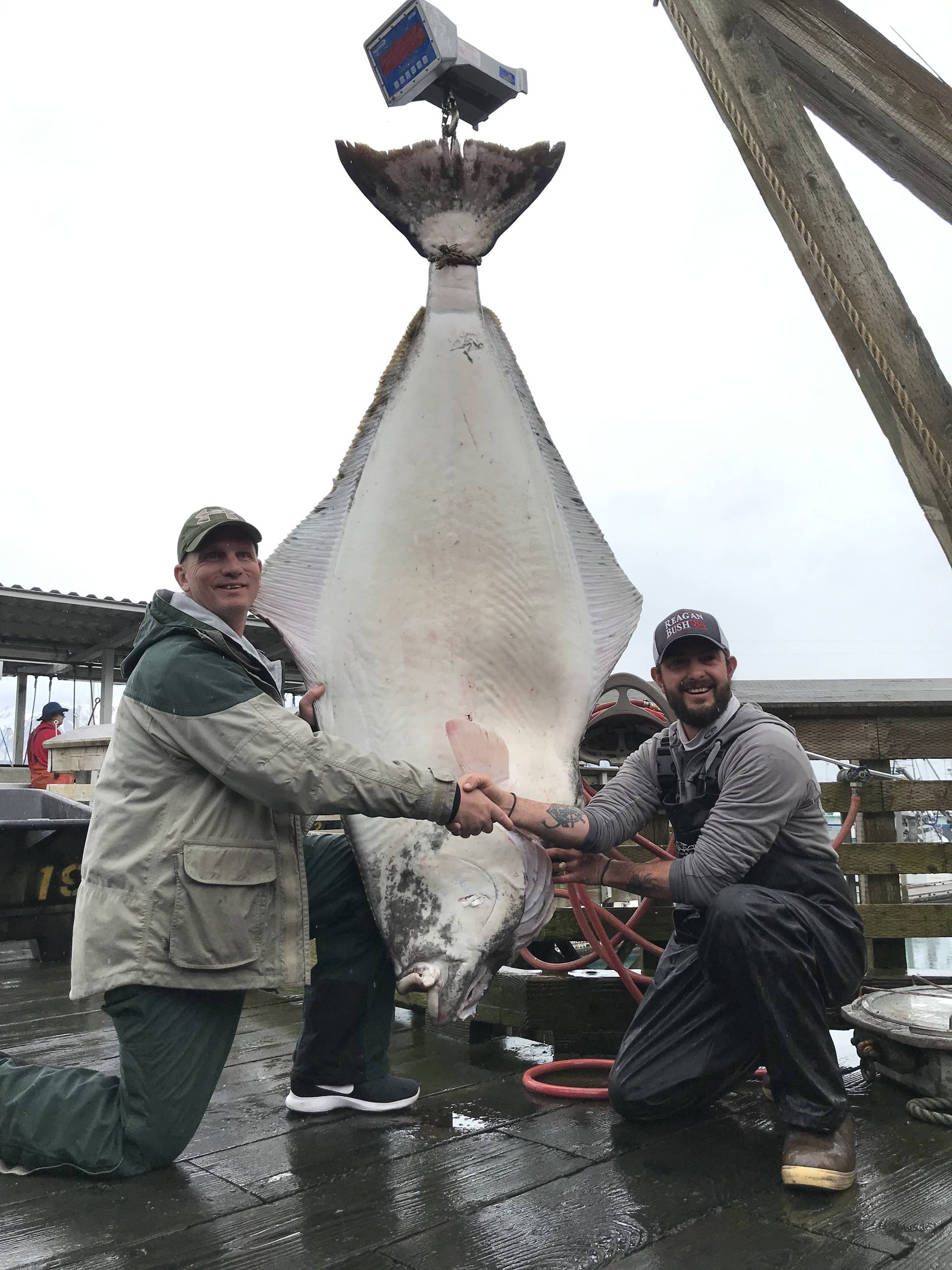 The winning fish in this year’s halibut tournament was reeled in by Guy Minske, left, and weighed 257.8 pounds. (Photo submitted by Seward Chamber of Commerce)