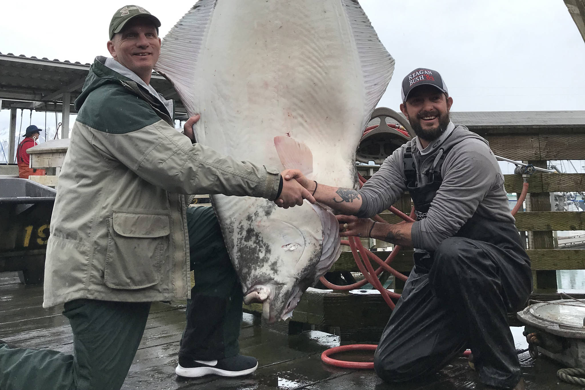 The winning fish in this year’s halibut tournament was reeled in by Guy Minske, left, and weighed 257.8 pounds. (Photo submitted by Seward Chamber of Commerce)