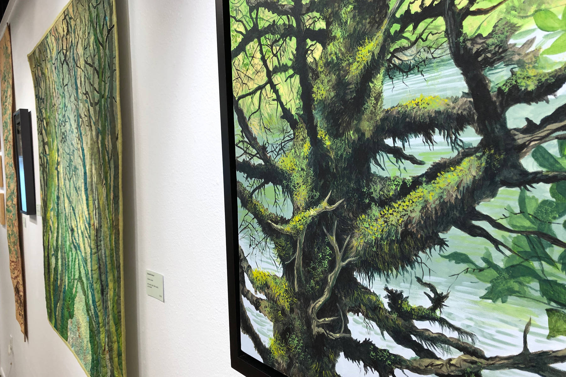 Larsen brings love of forest, trees to life in July exhibit