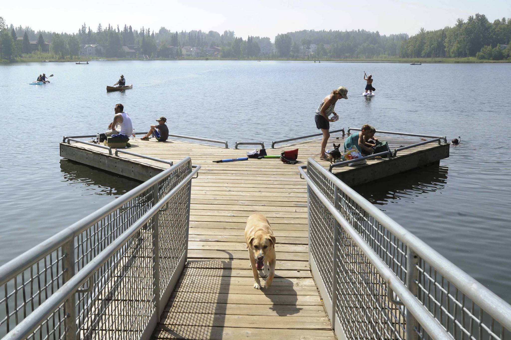 People with their dogs swarm to DeLong Lake hoping to stay cool in the record breaking heat in Anchorage, Alaska, Friday, July 5, 2019. Alaskans who routinely pack knit caps and fleece jackets in summer on Friday were swapping them for sunscreen and parasols amid a prolonged heatwave. Residents of Anchorage and other south-central cities completed a fifth week of above-normal temperatures, including a record high 90 degrees (32.22 Celsius) on Thursday, July 4, in the state’s largest city. (Anne Raup/Anchorage Daily News via AP)