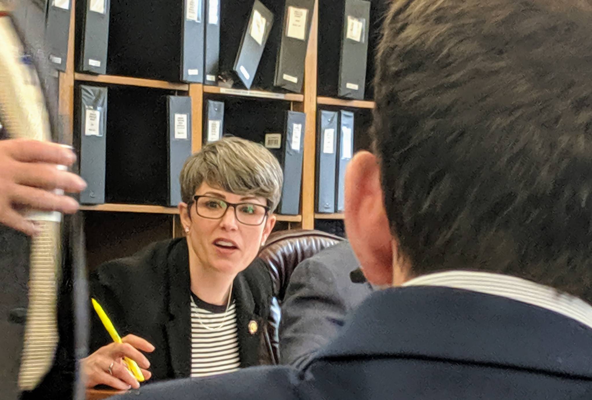 Rep. Kelly Merrick, R-Eagle River, speaks during a House Finance Committee meeting Saturday, July 20, 2019. (Ben Hohenstatt | Juneau Empire)