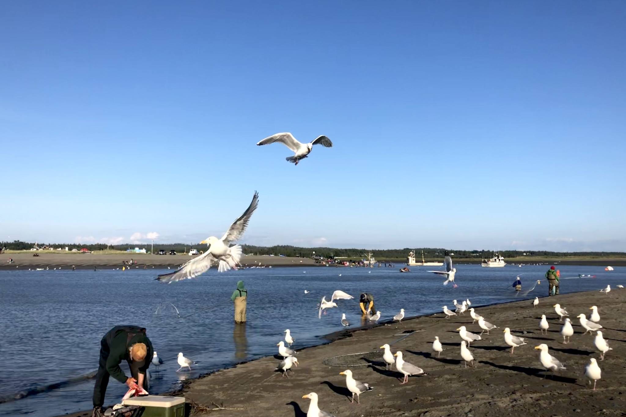 Fishermen took to the mouth of the Kasilof River for opening day of dipnetting, on Tuesday, June 25, 2019, in Kasilof, Alaska. (Photo by Victoria Petersen/Peninsula Clarion)