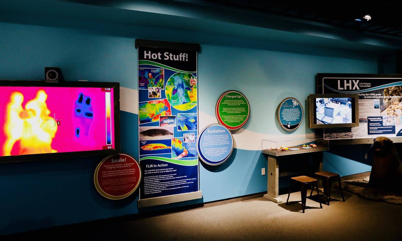 The new exhibit at the Alaska SeaLife Center focuses on the center’s ongoing research, Tuesday, July 23, 2019, in Seward, Alaska. (Photo courtesy of the Alaska SeaLife Center)