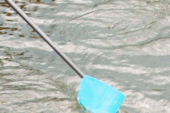 Kenai Crewsers compete at regatta