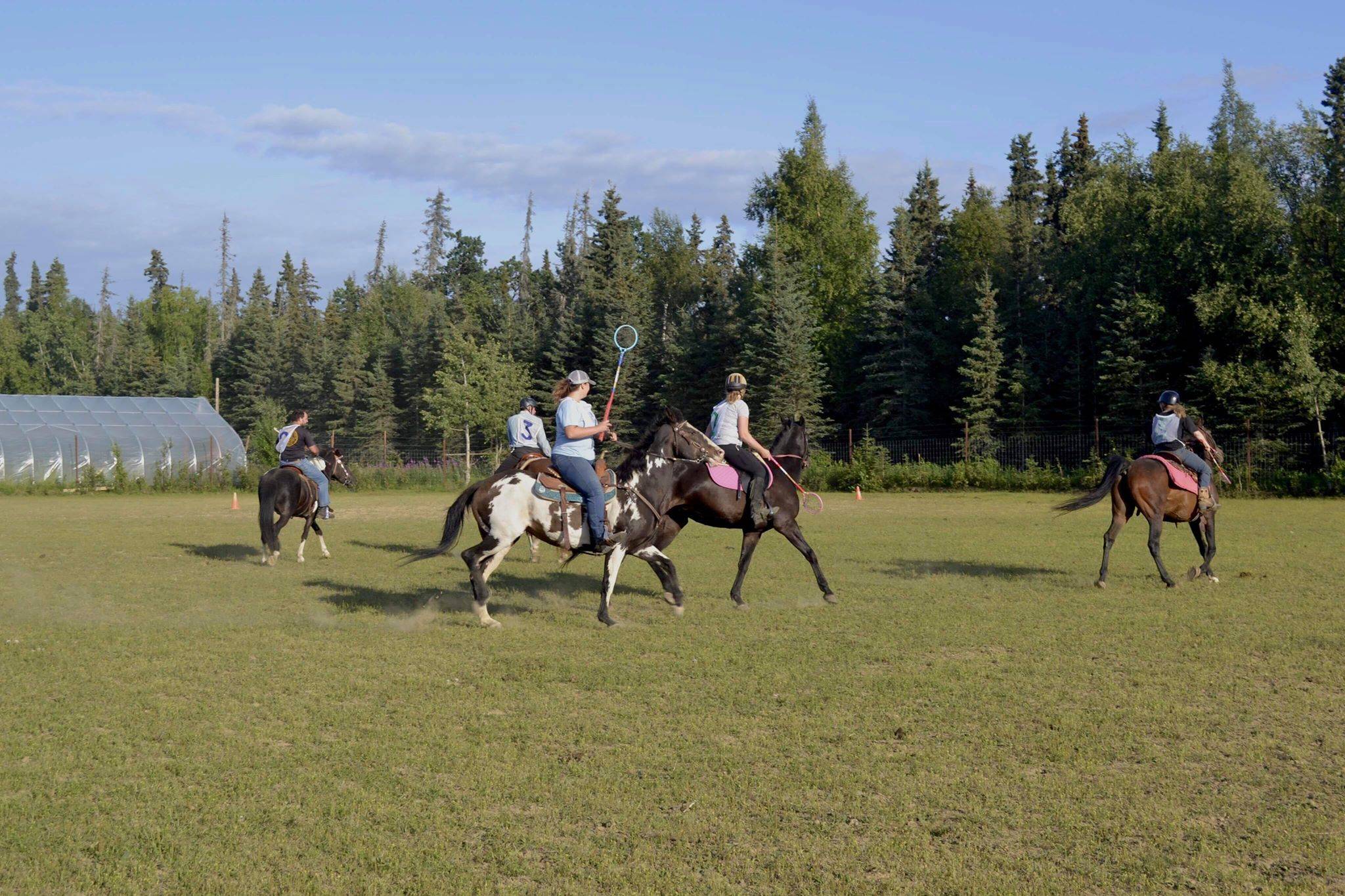 A group of riders engage in a game of polocrosse, a sport combining rules of polo and lacrosse, Thursday, July, 25, 2019 near Soldotna, Alaska. (Photo by Victoria Petersen/Peninsula Clarion)