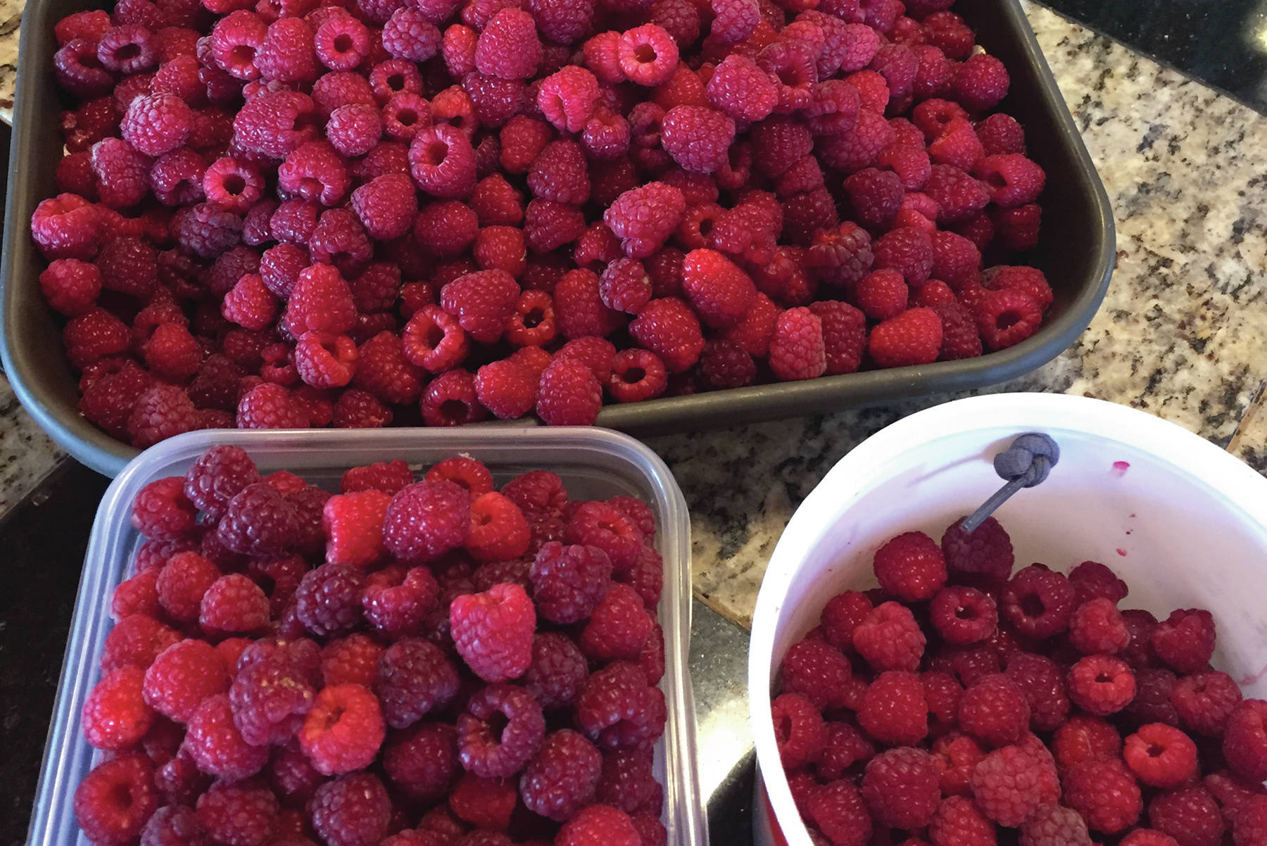 Kachemak Cuisine: Unusual hot days call for cool treat like Raspberry Swamp Pie