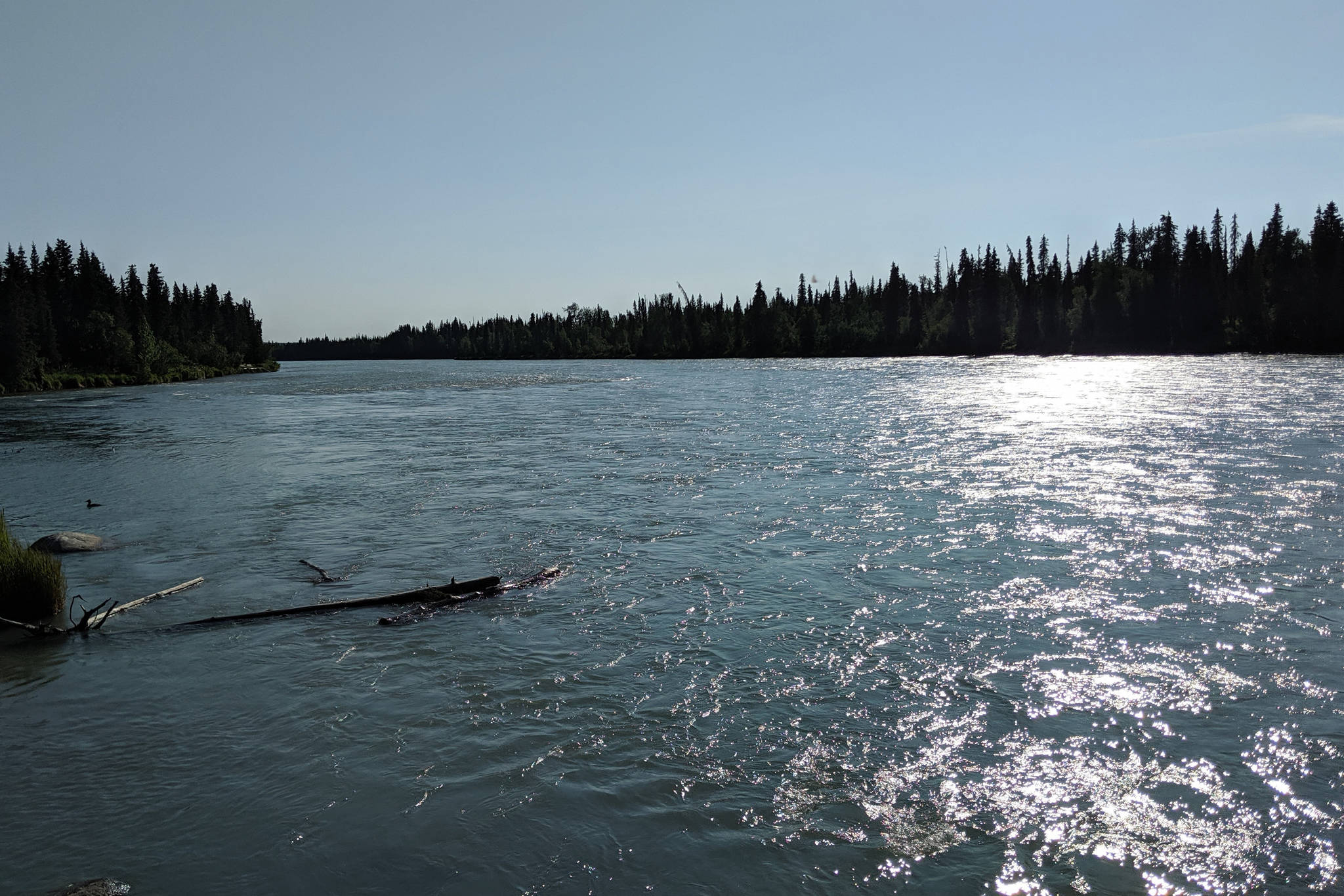 The Kenai River can be seen from the Funny River Campground on Sunday, June 23, 2019, in Funny River, Alaska. (Photo by Erin Thompson/Peninsula Clarion)