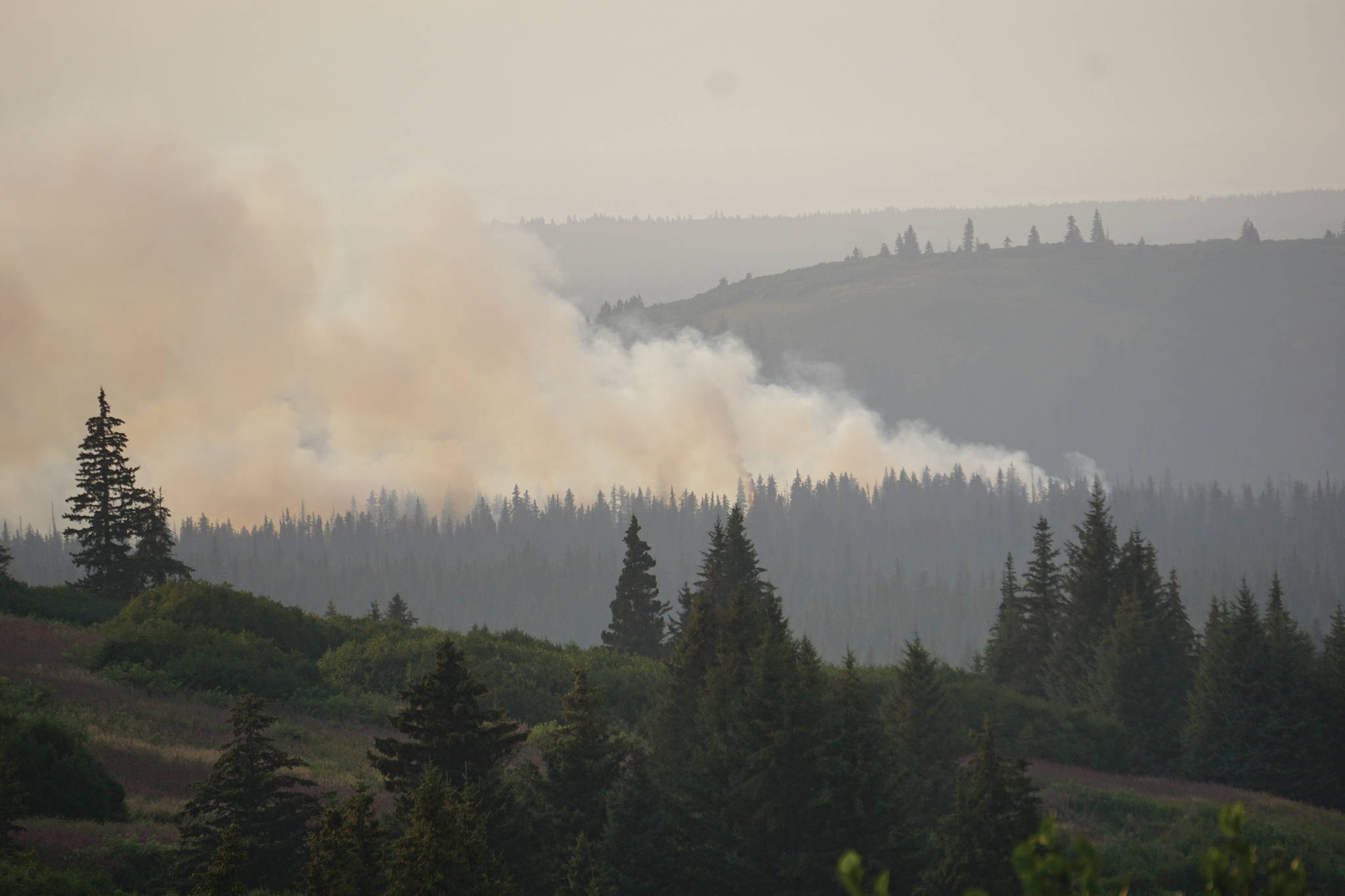 Michael Armstrong / Homer News                                A spruce tree flares up in the North Fork fire as it burns near the south end of the North Fork Road on Sunday evening near Homer.