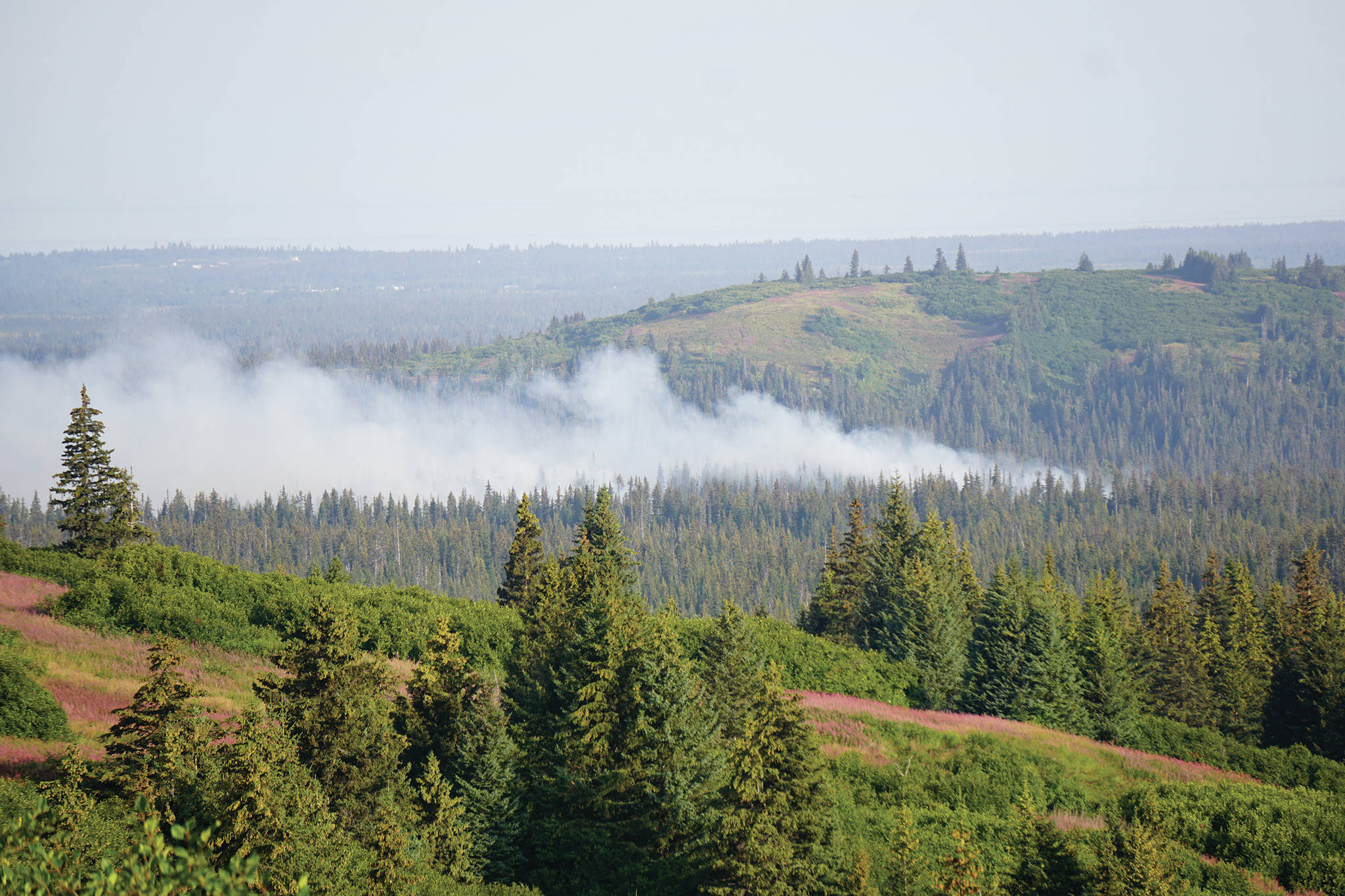 The North Fork fire burns near the south end of the North Fork Road on Monday morning, Aug. 19, 2019, near Homer, Alaska, as seen from Diamond Ridge Road. (Photo by Michael Armstrong/Homer News)