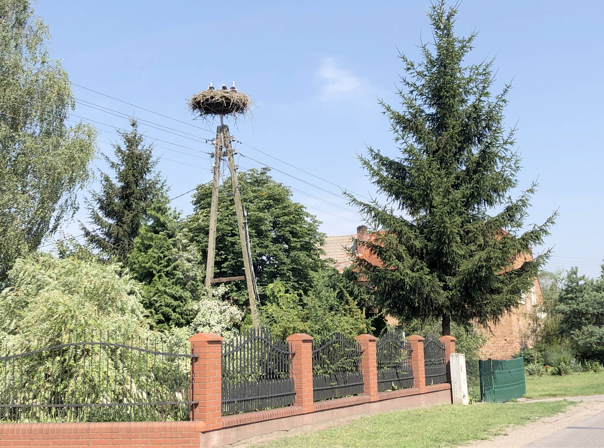 A stork nest rests on an artificial nest platform atop an electrical pole in Poland. (Photo courtesy of Kenai National Wildlife Refuge)