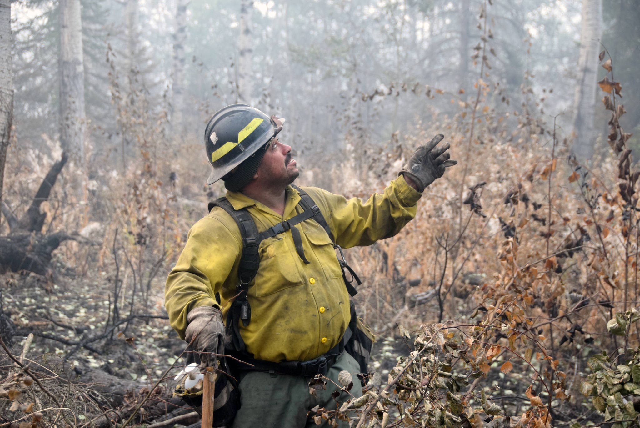 A firefighter from the Snake River Valley Type 2 crew points to a tree that is set to be cut down located near the containment line off of Skilak Lake Road southeast of Sterling on Friday. (Photo by Brian Mazurek/Peninsula Clarion)