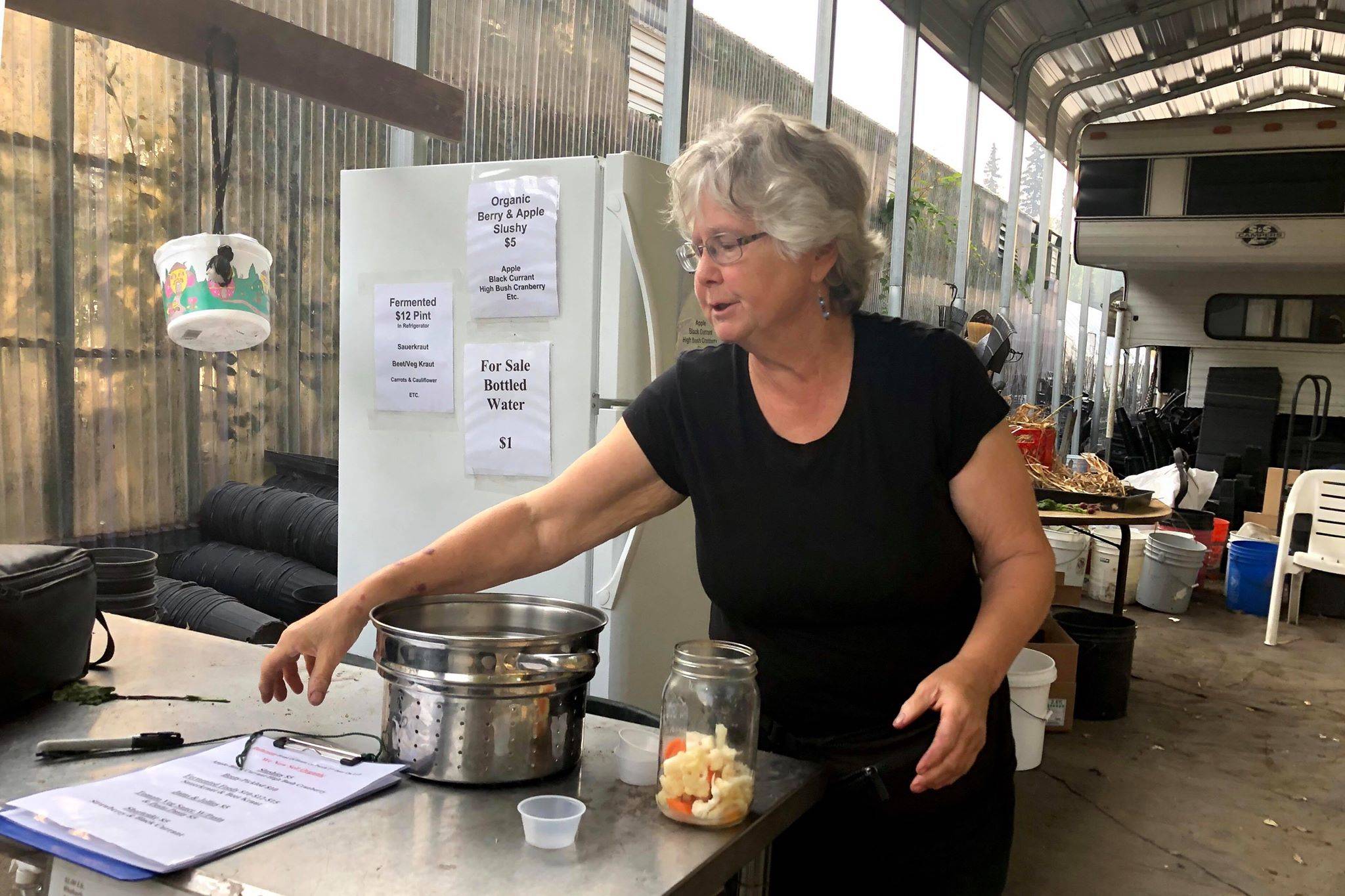 Photo by Victoria Petersen/Peninsula Clarion                                 Bobbi Jackson samples some of her fermented cauliflower and carrots at Jackson Gardens and Nursery, Monday, Aug. 26, near Soldotna.