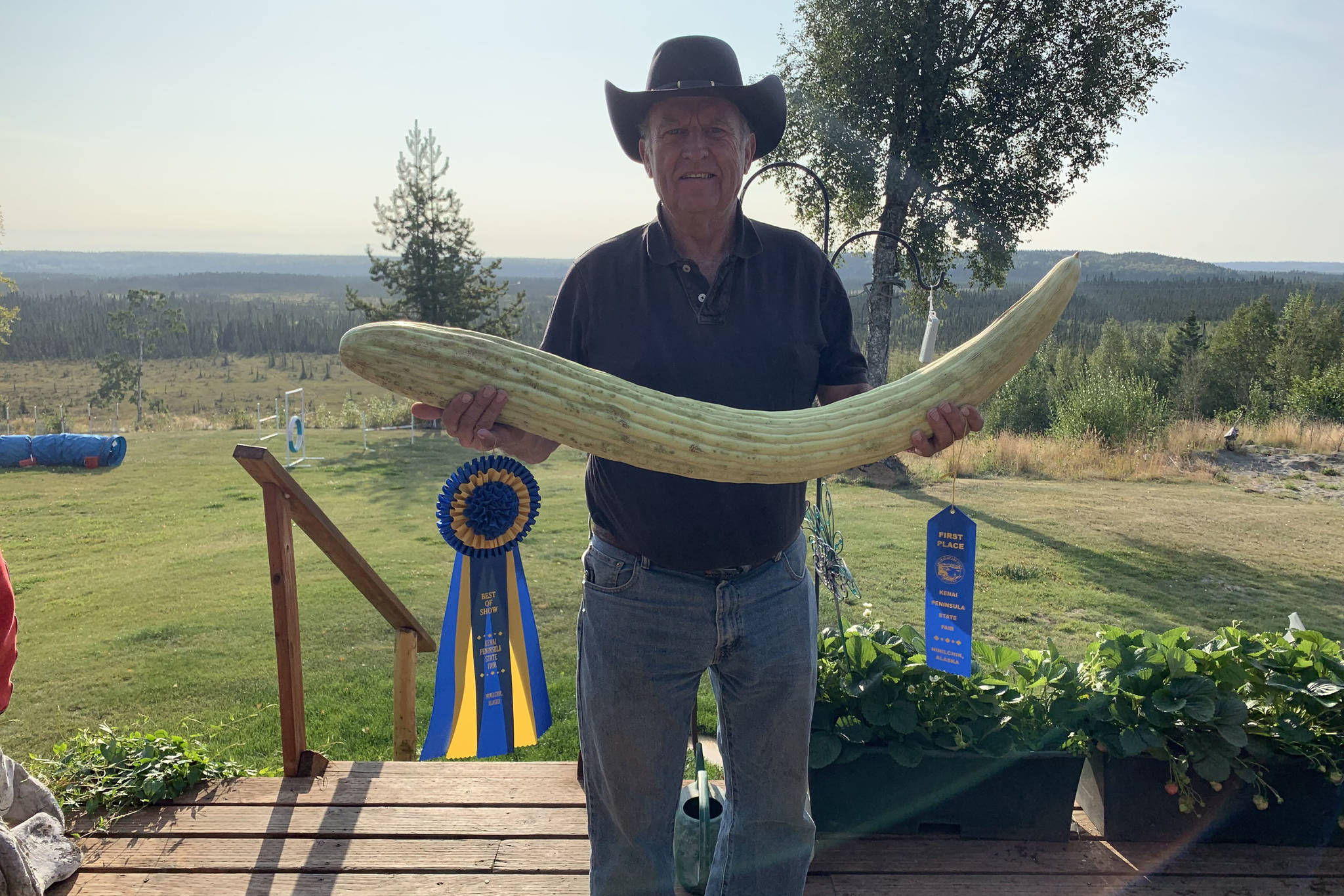 Courtesy Ludy Link                                 Soldotna resident Richard Link and his prize-winning Armenian cucumber are seen here in this August 2019 photo. The 14-pound, 37 3/8-inch cucumber took home a grand prize at the 2019 Alaska State Fair.