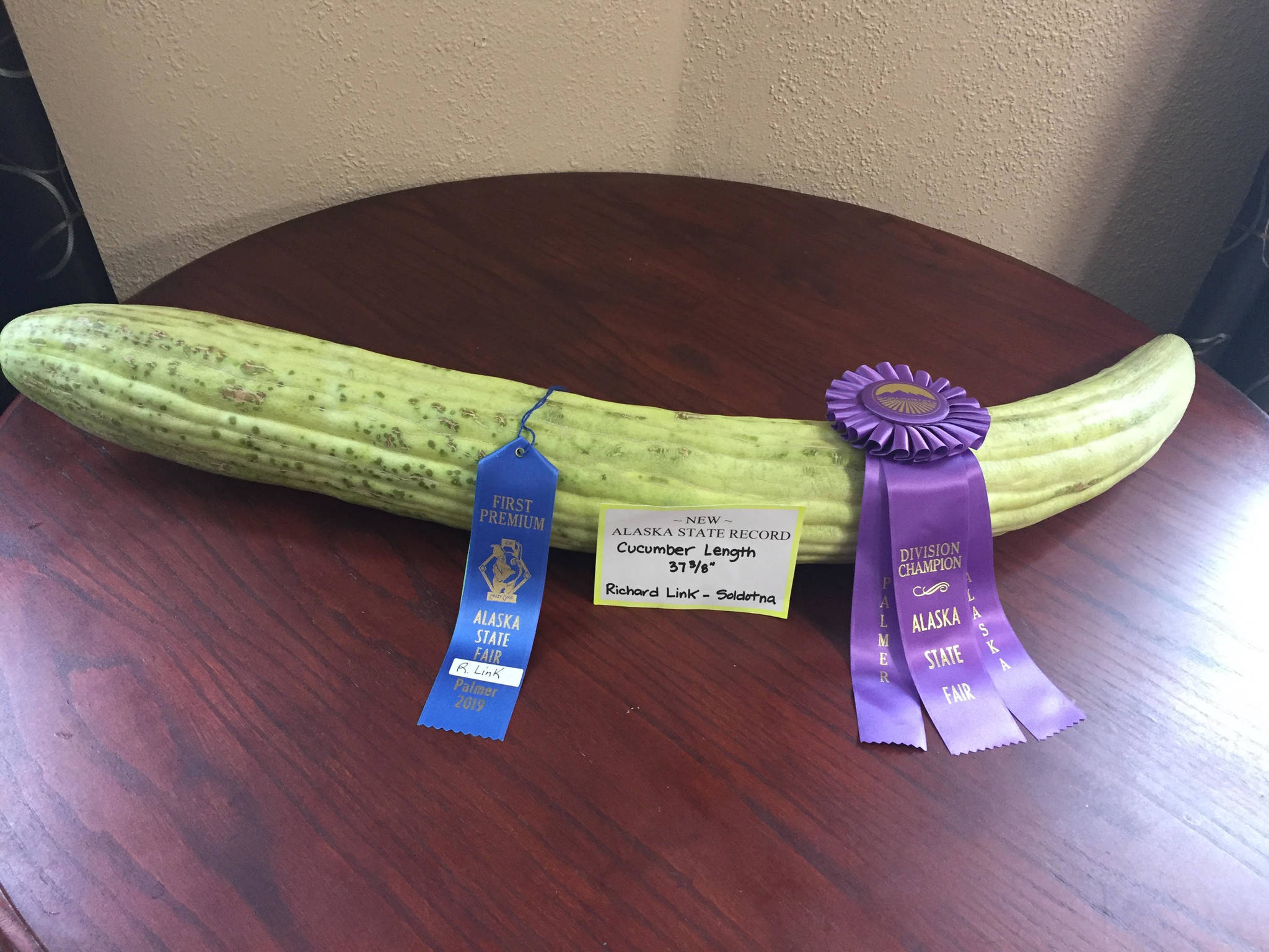 Richard Link’s prize-winning Armenian cucumber is seen with its ribbons in this August 2019 photo. (Courtesy Ludy Link)
