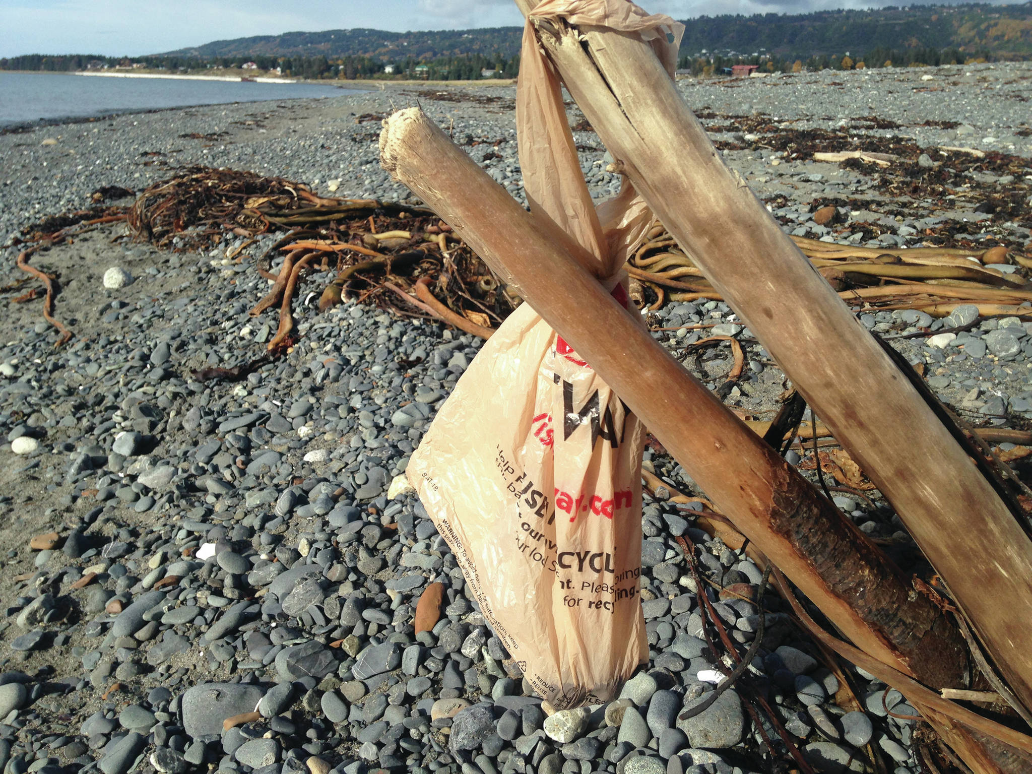 A single-use plastic bag hangs on a driftwood branch at Mariner Park on the Homer Spit on Oct. 5,2018, in Homer, Alaska. It appeared someone had reused the bag to collect dog poop but then left the bag on the beach. (Photo by Michael Armstrong/Homer News)