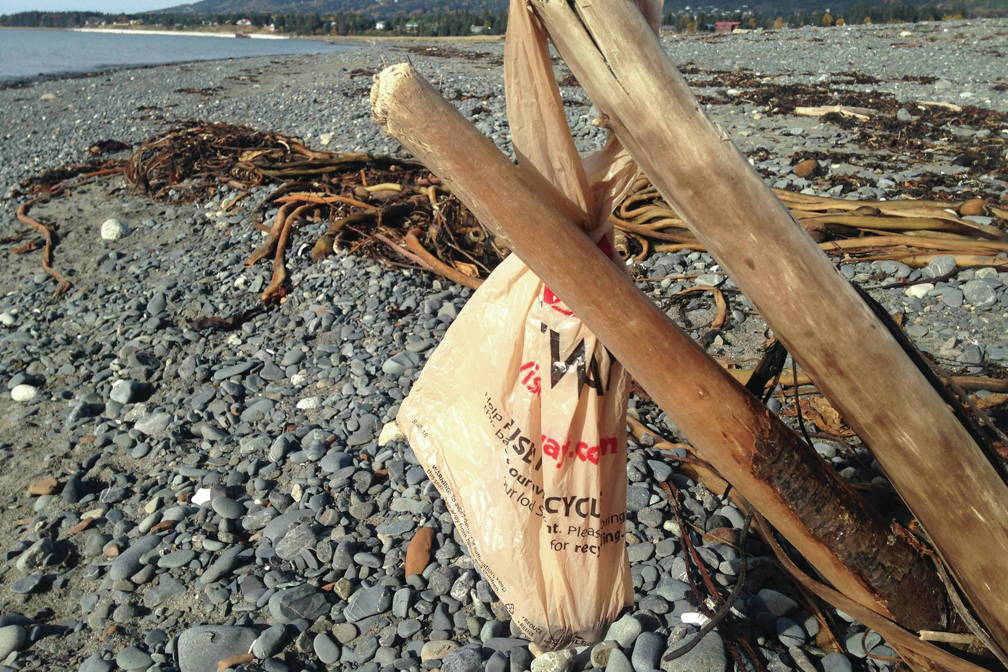 A single-use plastic bag hangs on a driftwood branch at Mariner Park on the Homer Spit on Oct. 5,2018, in Homer, Alaska. It appeared someone had reused the bag to collect dog poop but then left the bag on the beach. (Photo by Michael Armstrong/Homer News)