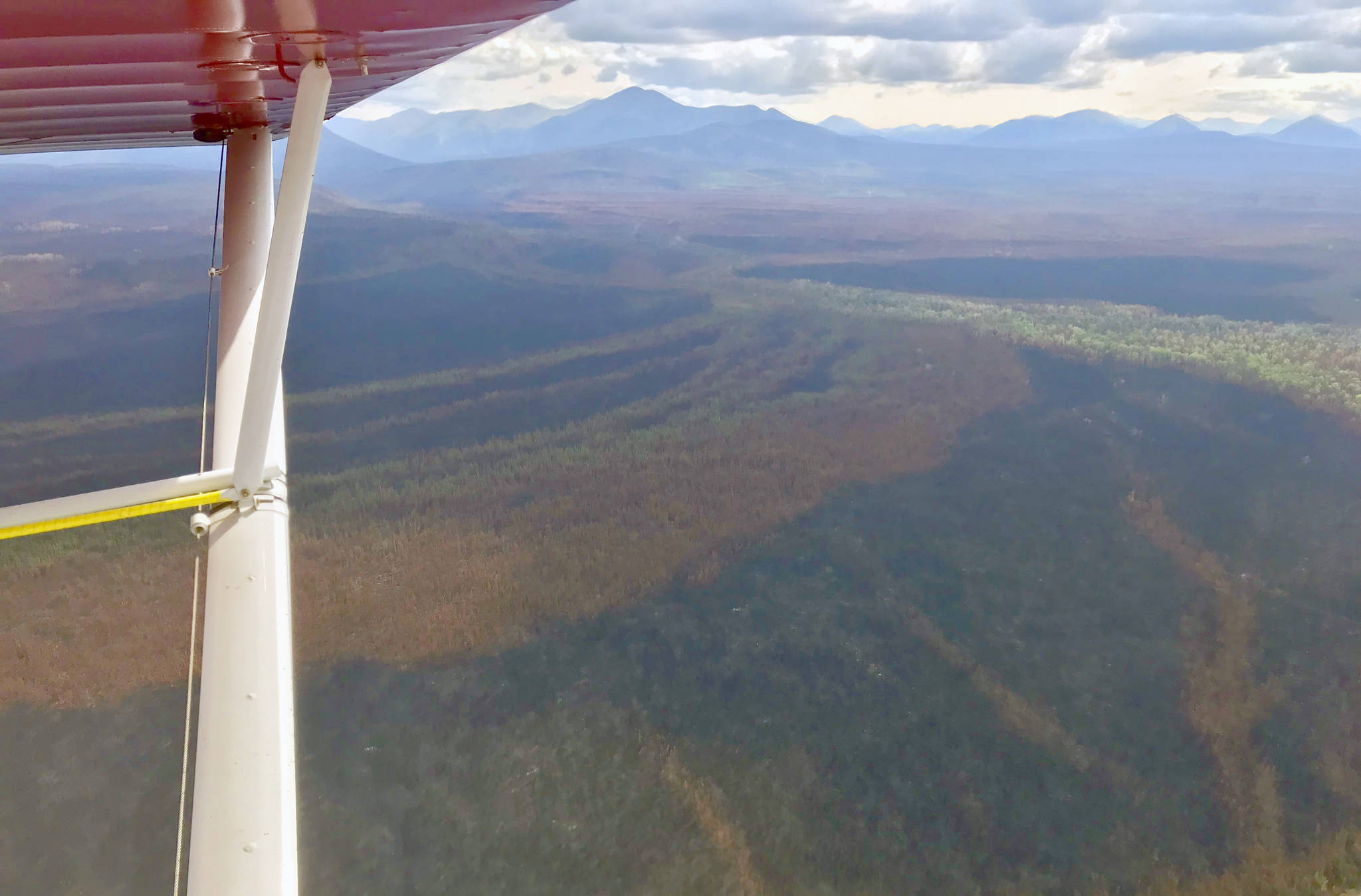 Refuge Notebook: The Swan Lake Fire and wildlife