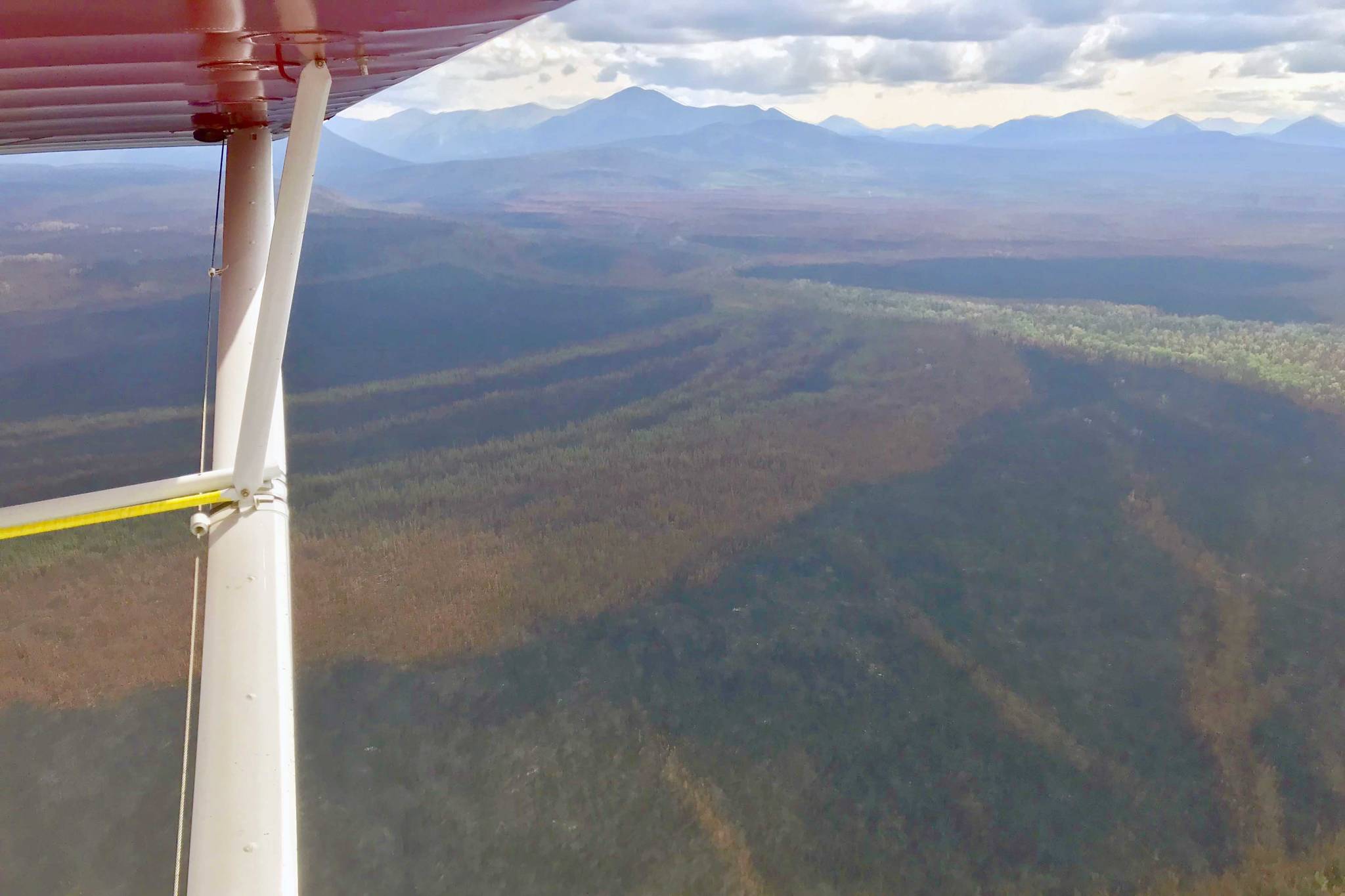 Refuge Notebook: The Swan Lake Fire and wildlife