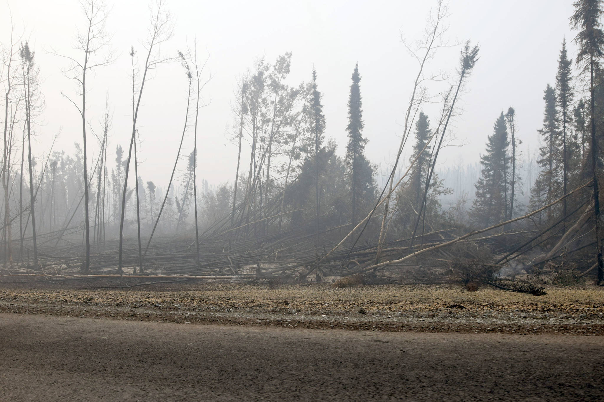 Trees burned by the Swan Lake Fire and knocked down by gusts of wind can be seen here along the Sterling Highway on Aug. 30, 2019. (Photo by Brian Mazurek/Peninsula Clarion)