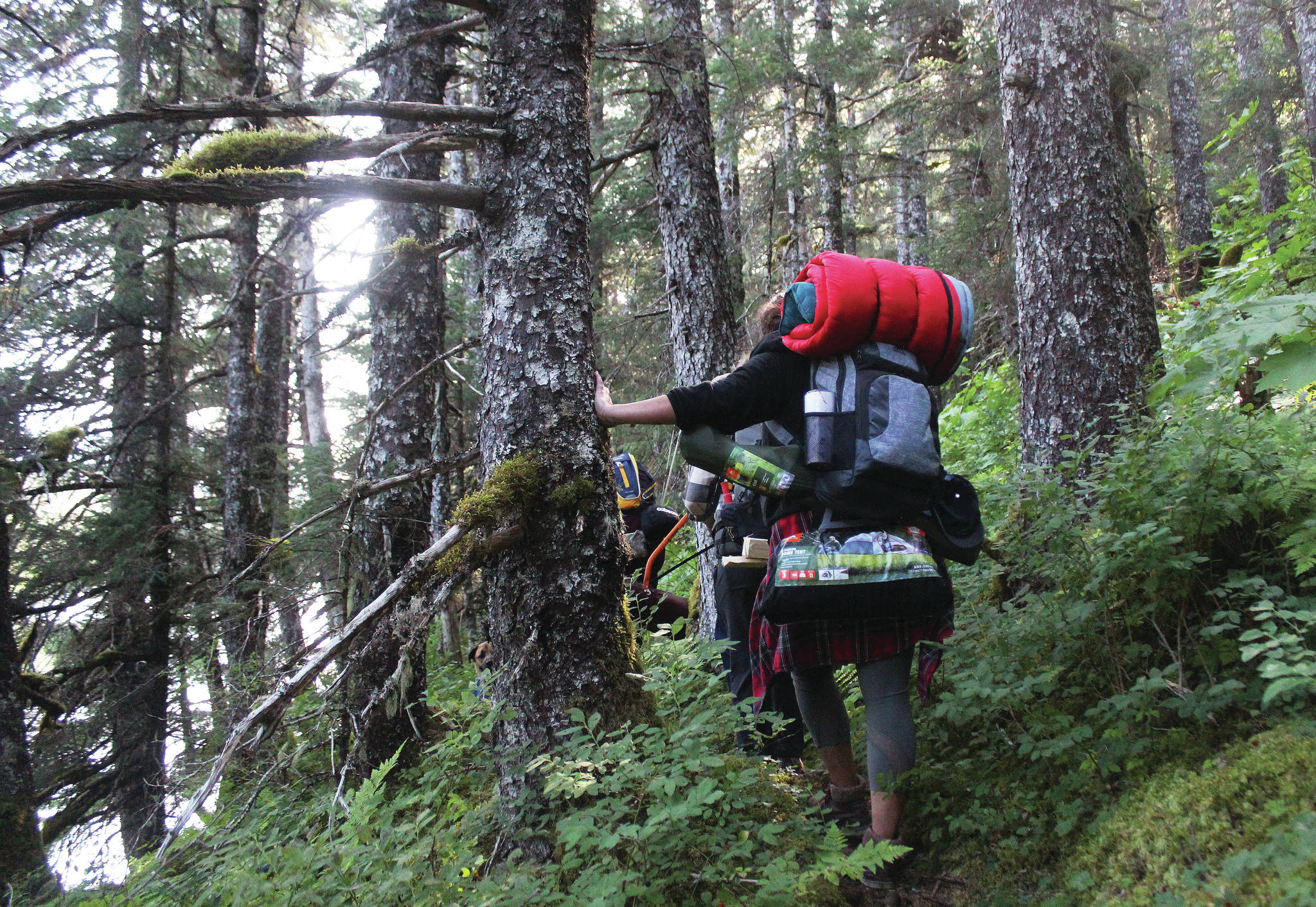 A group of friends makes their way through the trail leading to Tutka Lake across Kachemak Bay from Homer, Alaska in August, 2019. (Photo by Megan Pacer/Homer News)