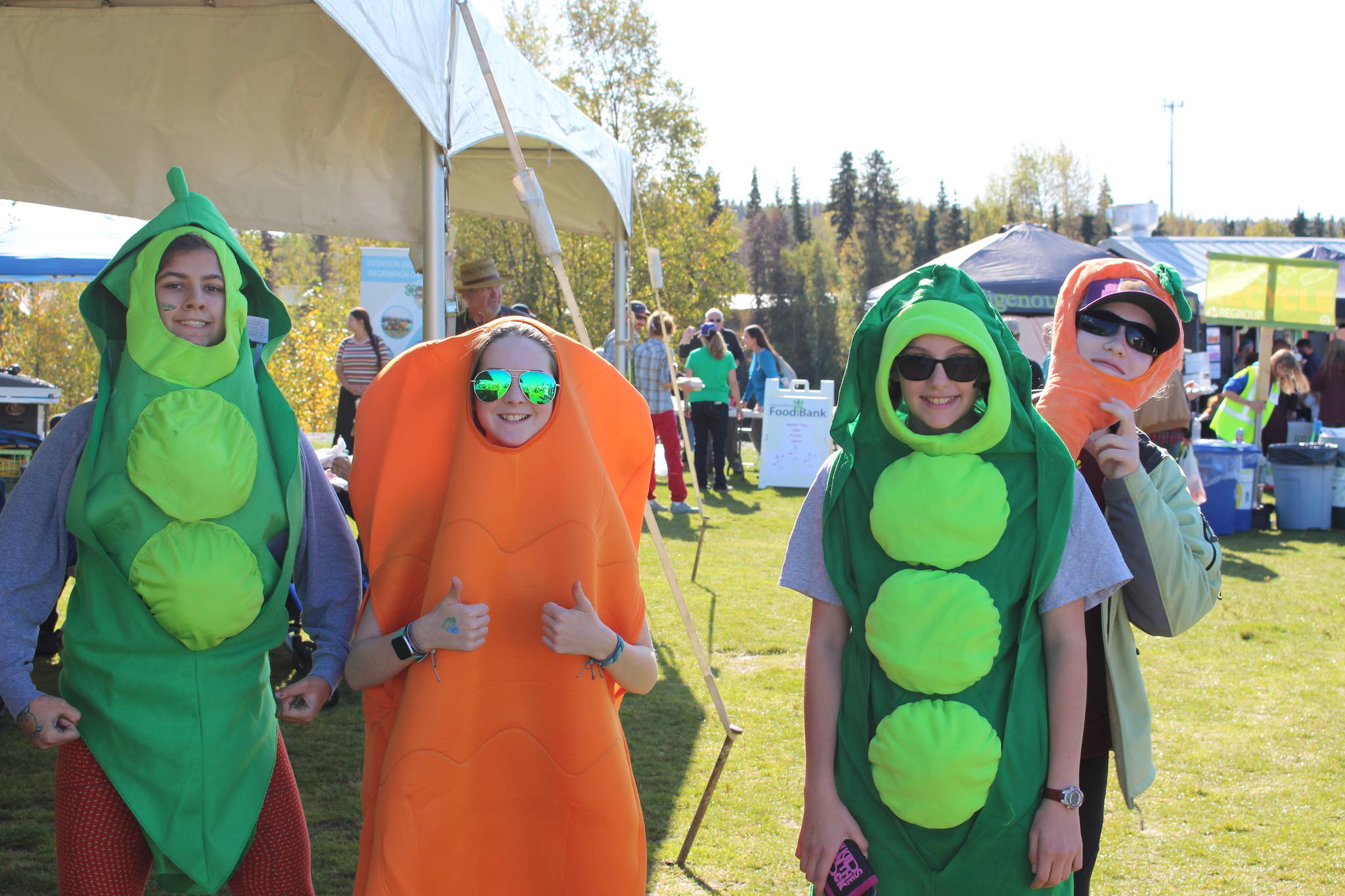 From left, Isabel McClure, Ava Fabian, Brooke Summers and Emma Bolling smile for the camera while volunteering at the Harvest Moon Local Food Festival at Soldotna Creek Park on Sept. 14, 2019. (Photo by Brian Mazurek/Peninsula Clarion)