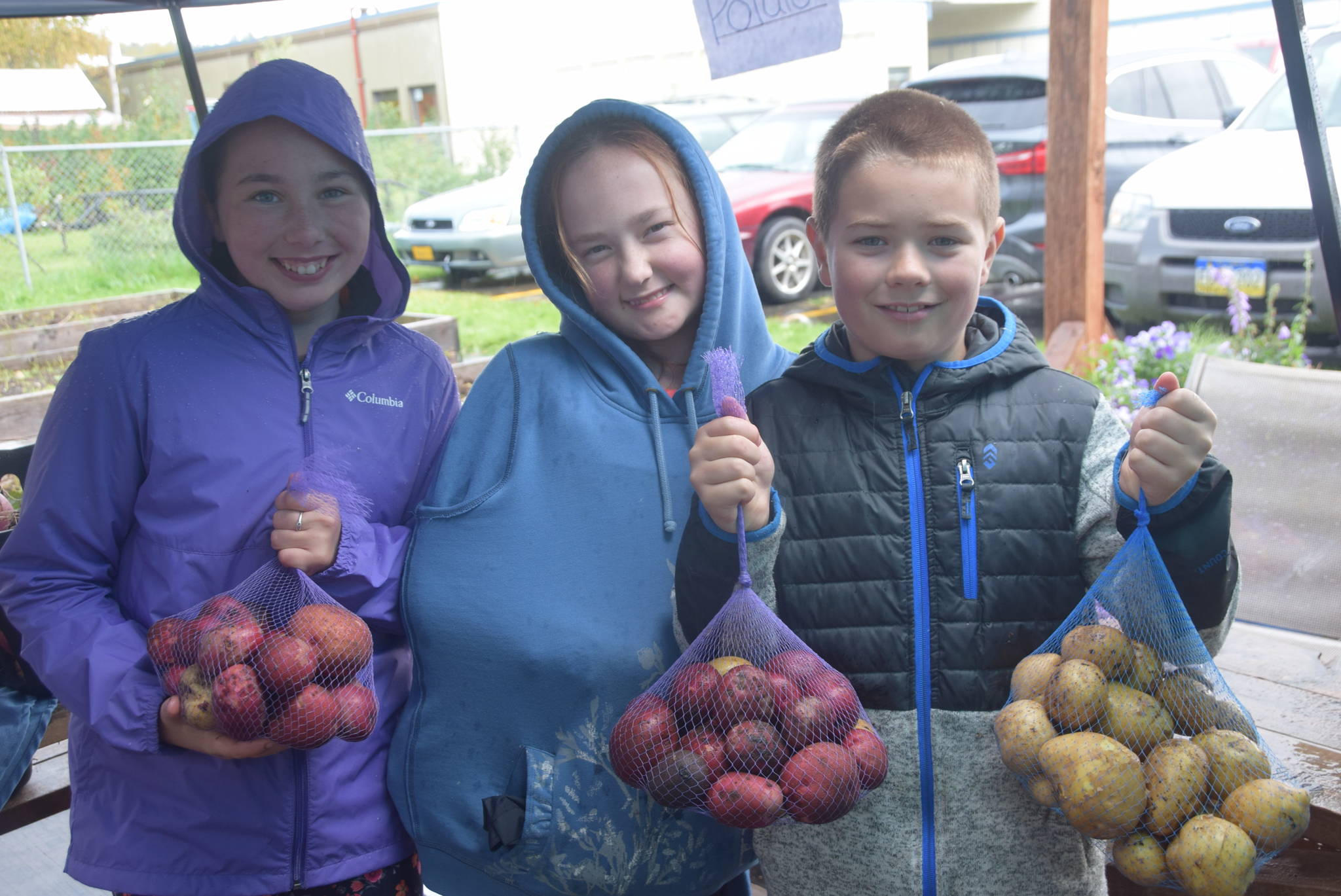 From left, Kendra Bailey, Emma McKay and Tristen Barnes show off their potatoes at the Montessori Farmer’s Market at the Soldotna Montessori School on Sept. 13, 2019. (Photo by Brian Mazurek/Peninsula Clarion)